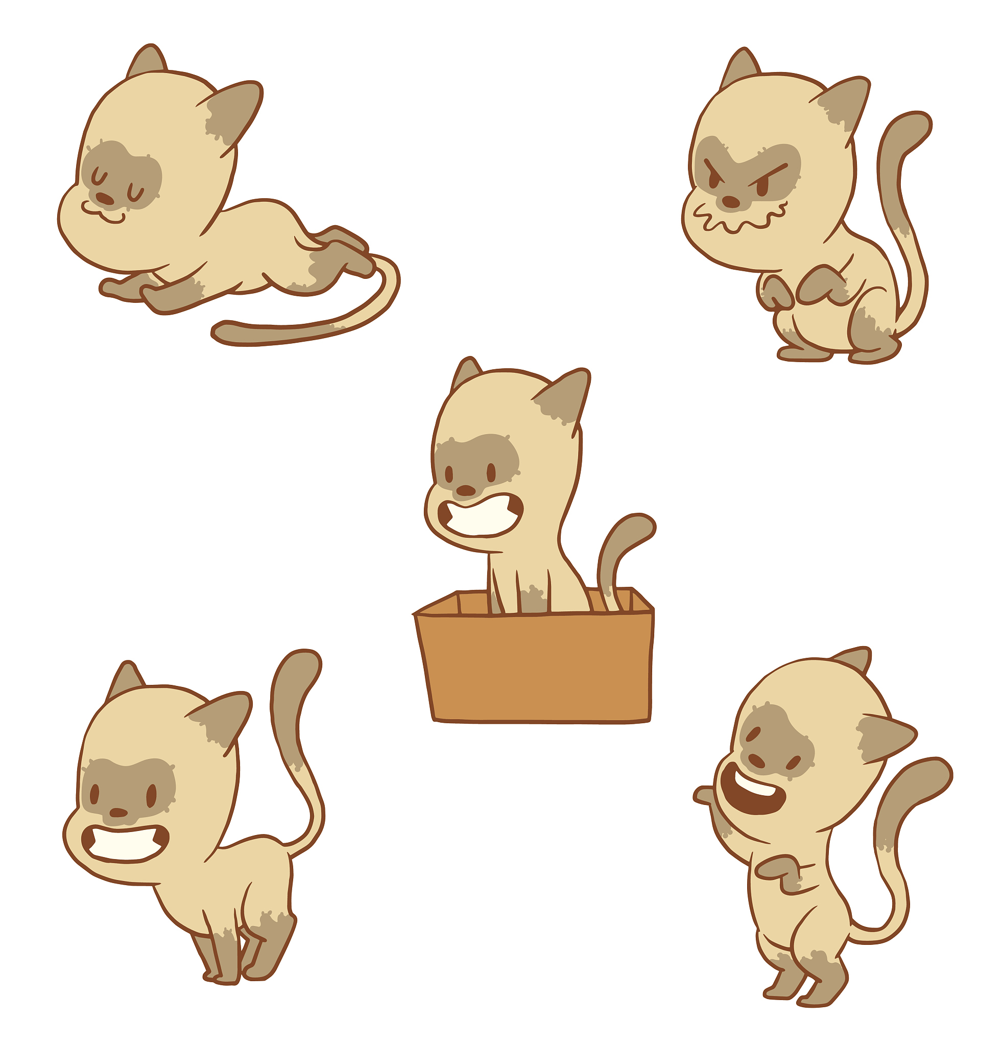 猫的消化系统图片去哪里找