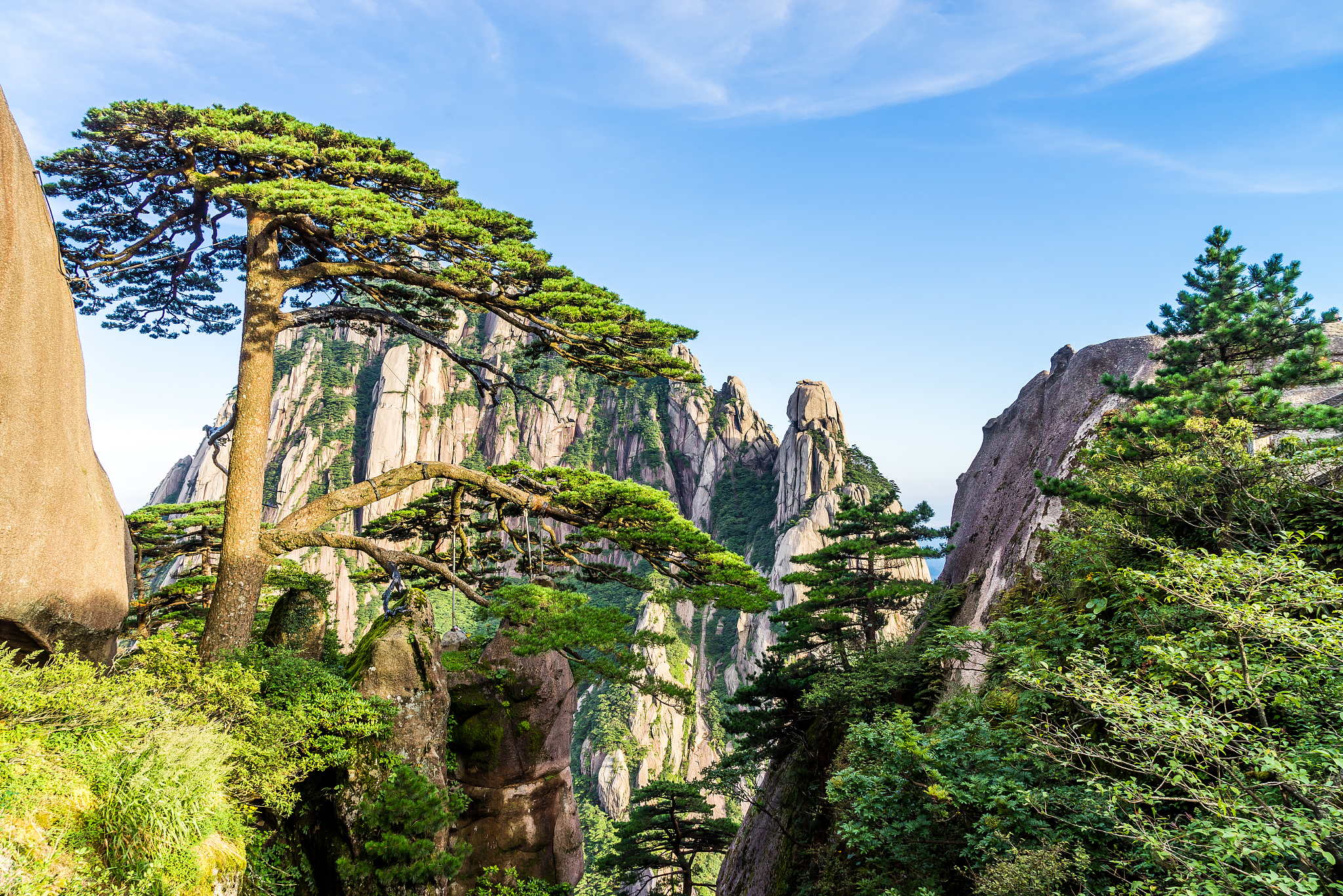 去黄山旅游线路