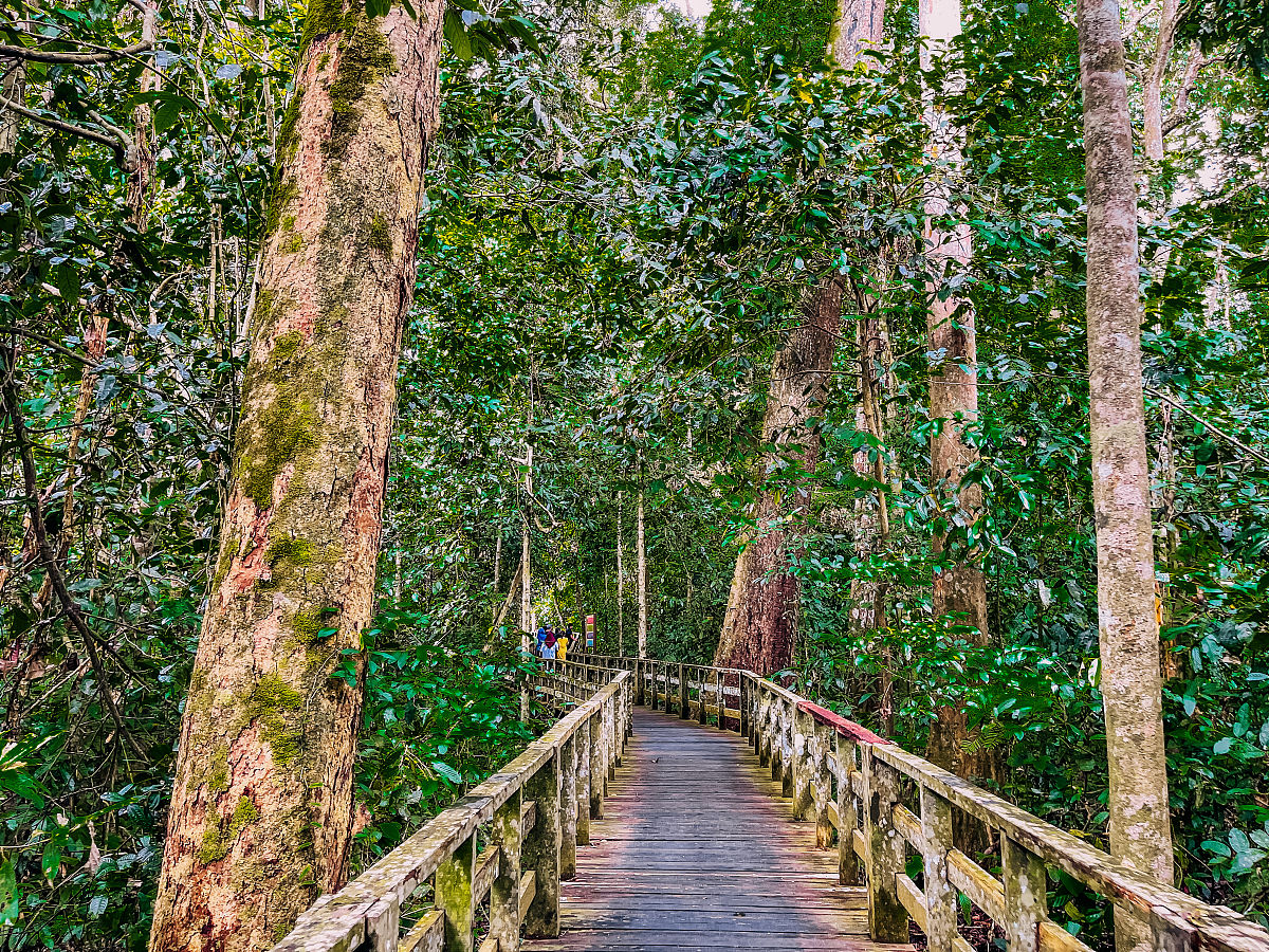 聊城经济开发区职业技术学校康复技术专业介绍