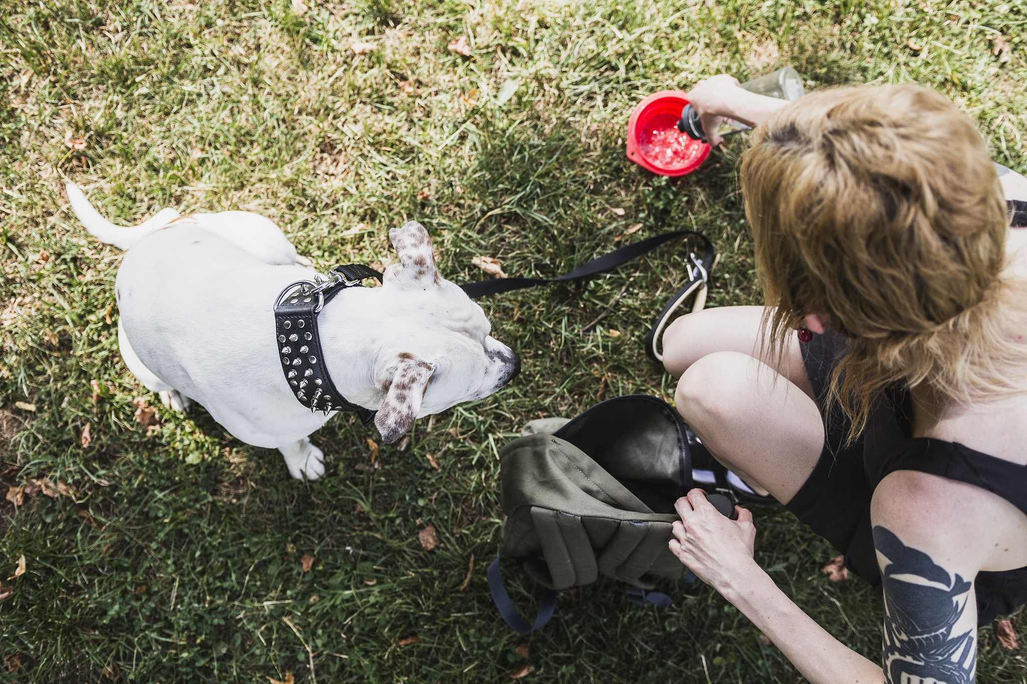 网络热梗电子鸡瘟