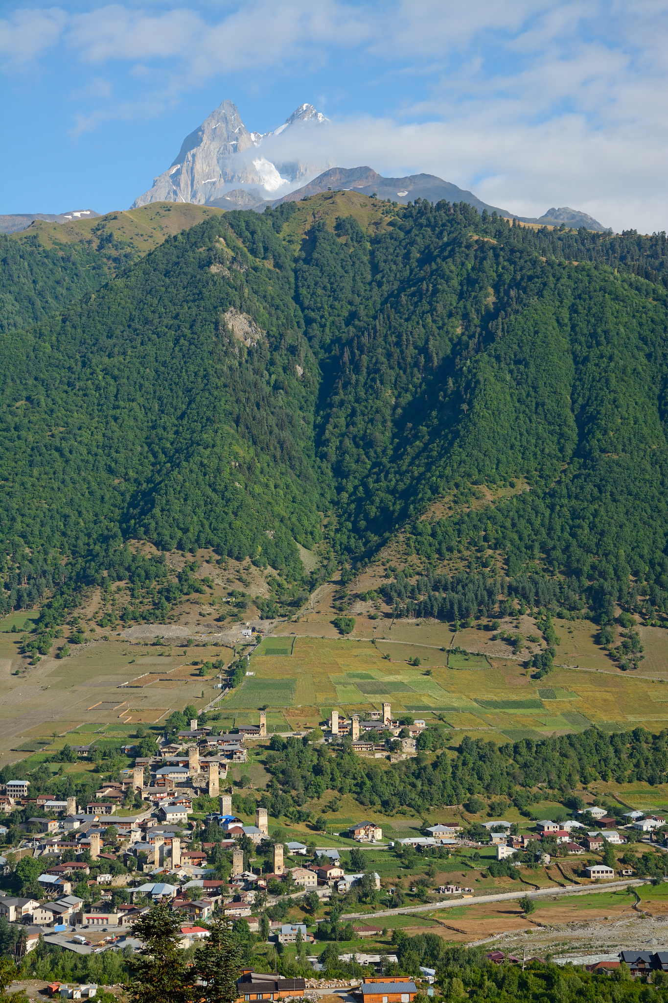 mestia