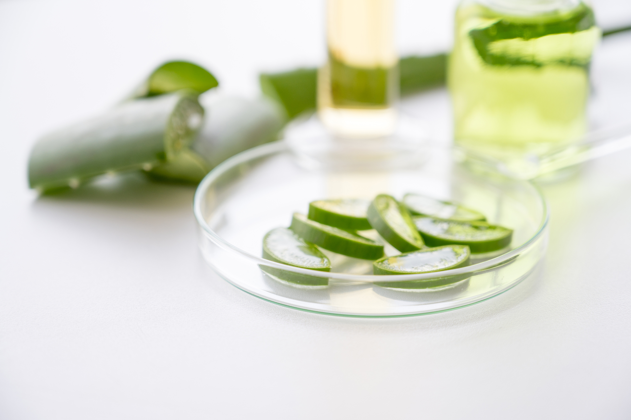 正丁基锂的半衰期是多少