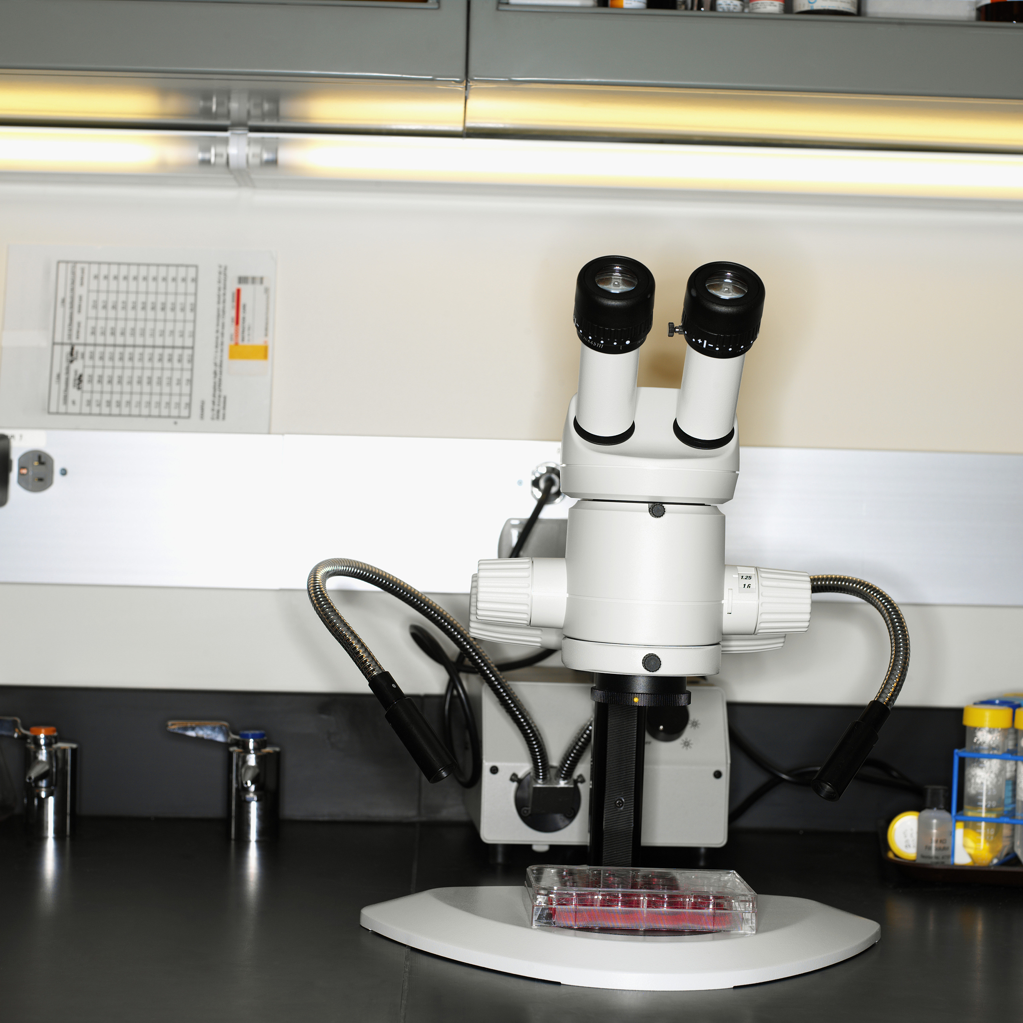 显微共焦拉曼光谱仪使用指南：HORIBA Jobin Yvon S.A.S. 公司产品