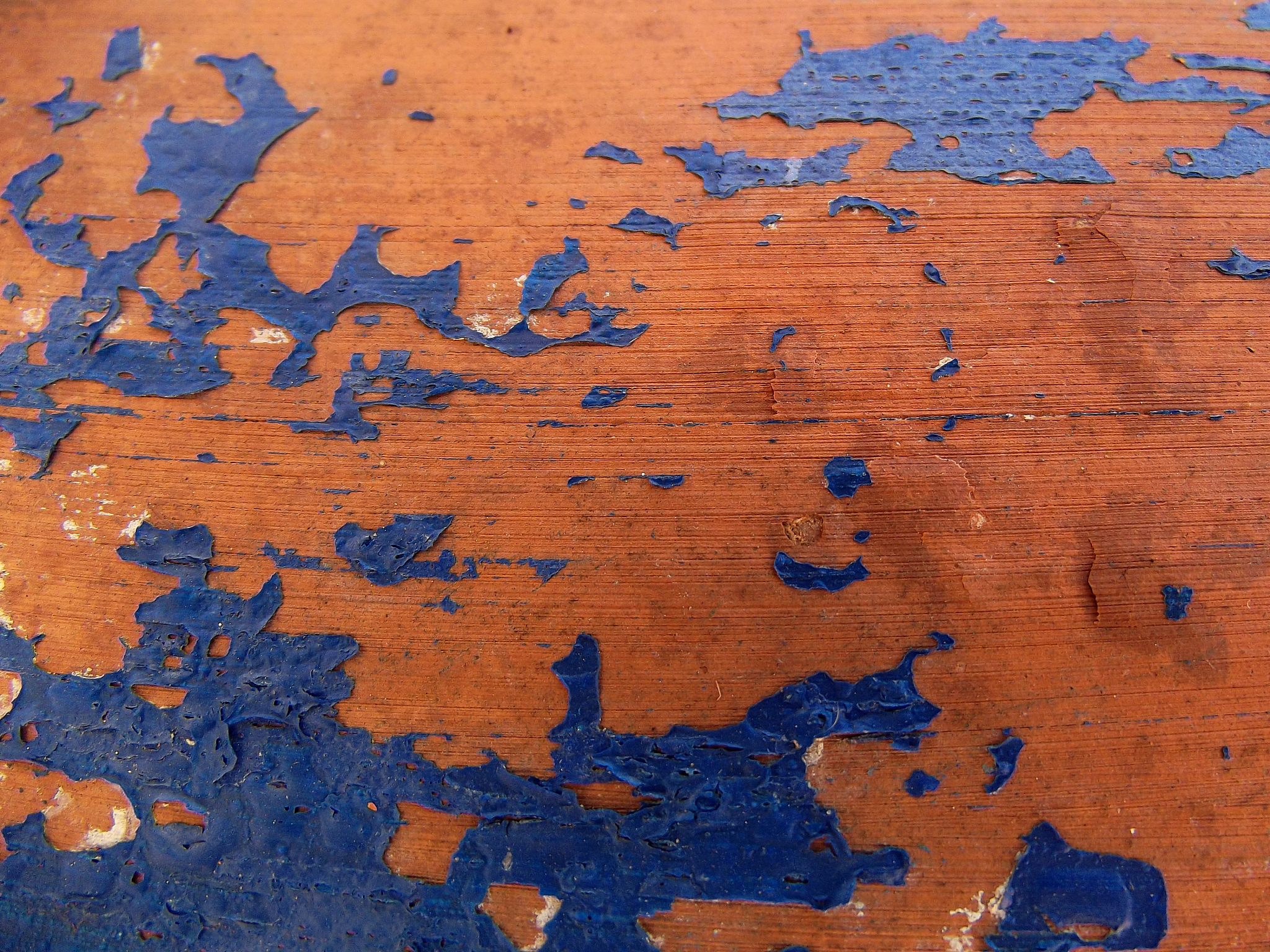 翻译以下内容：秦兵马俑坑土隔梁的水-热-盐运移规律研究