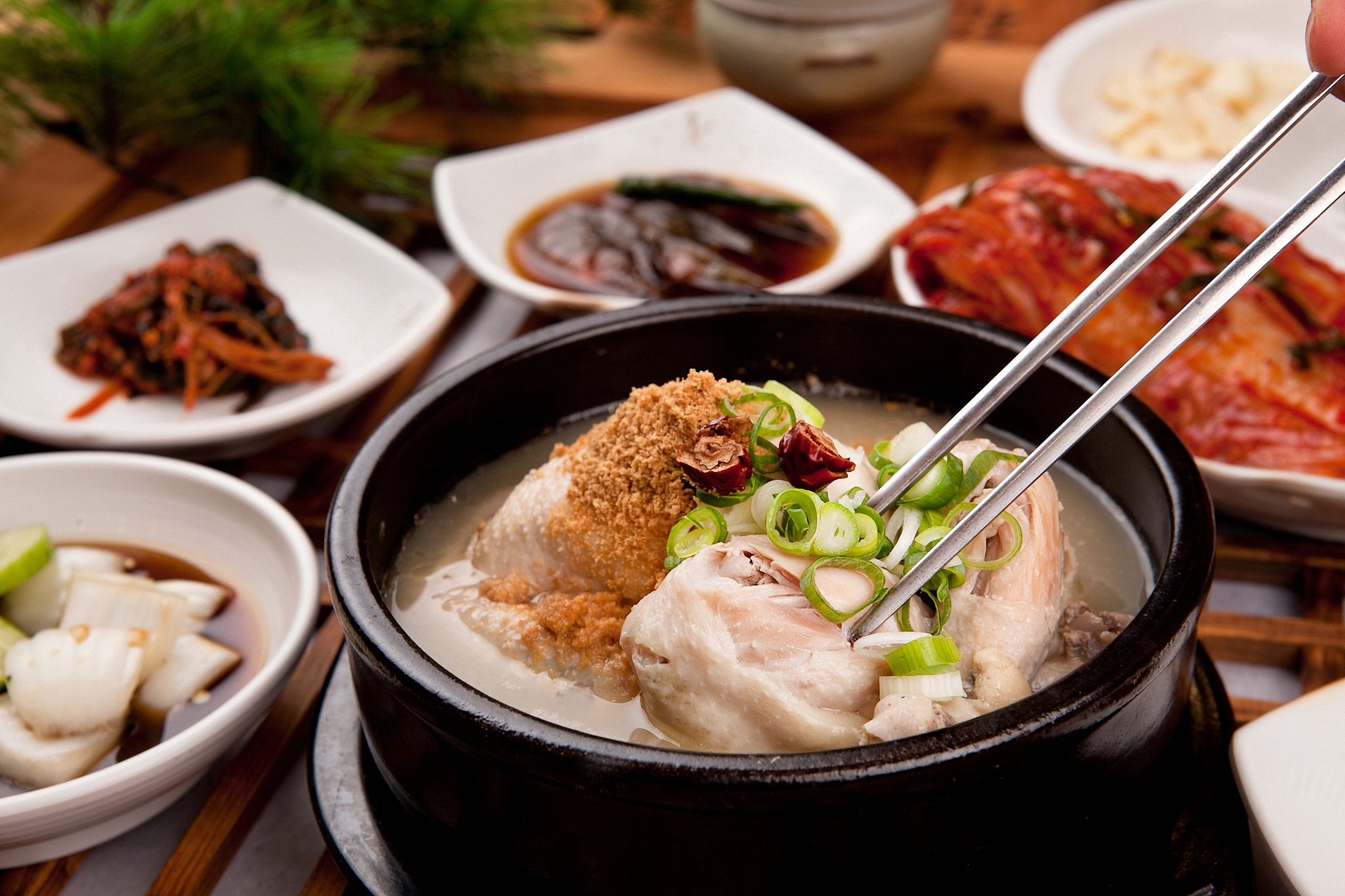 ginseng,chicken,soup