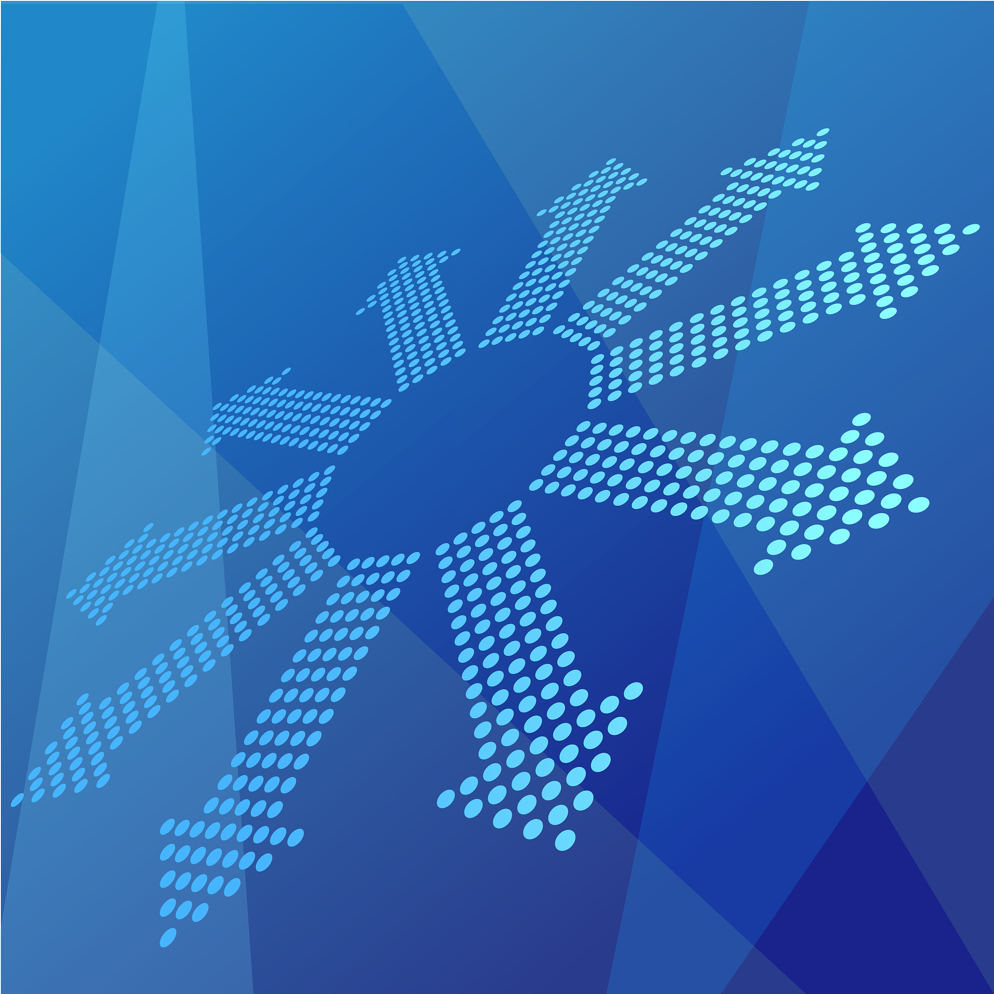 见风使帆是家禽还是野兽帮我用200字详细描述