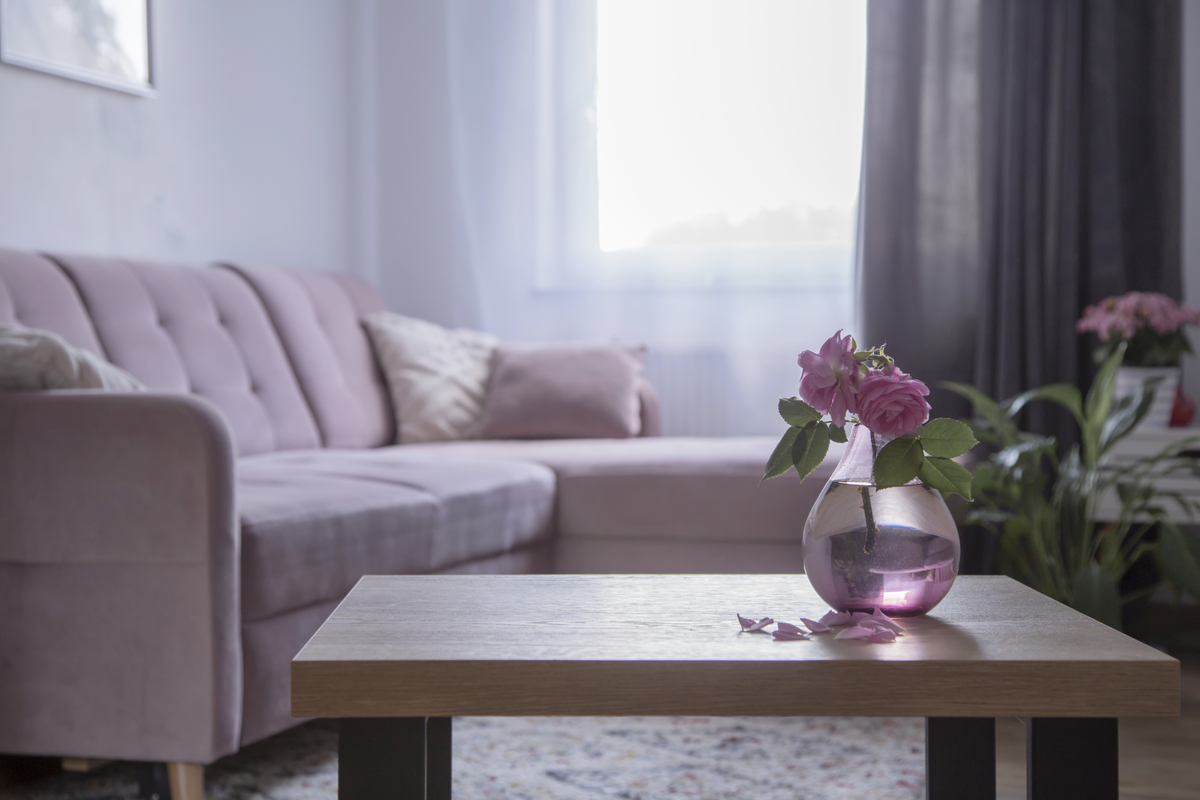 100字内，解锁舒适生活秘诀！