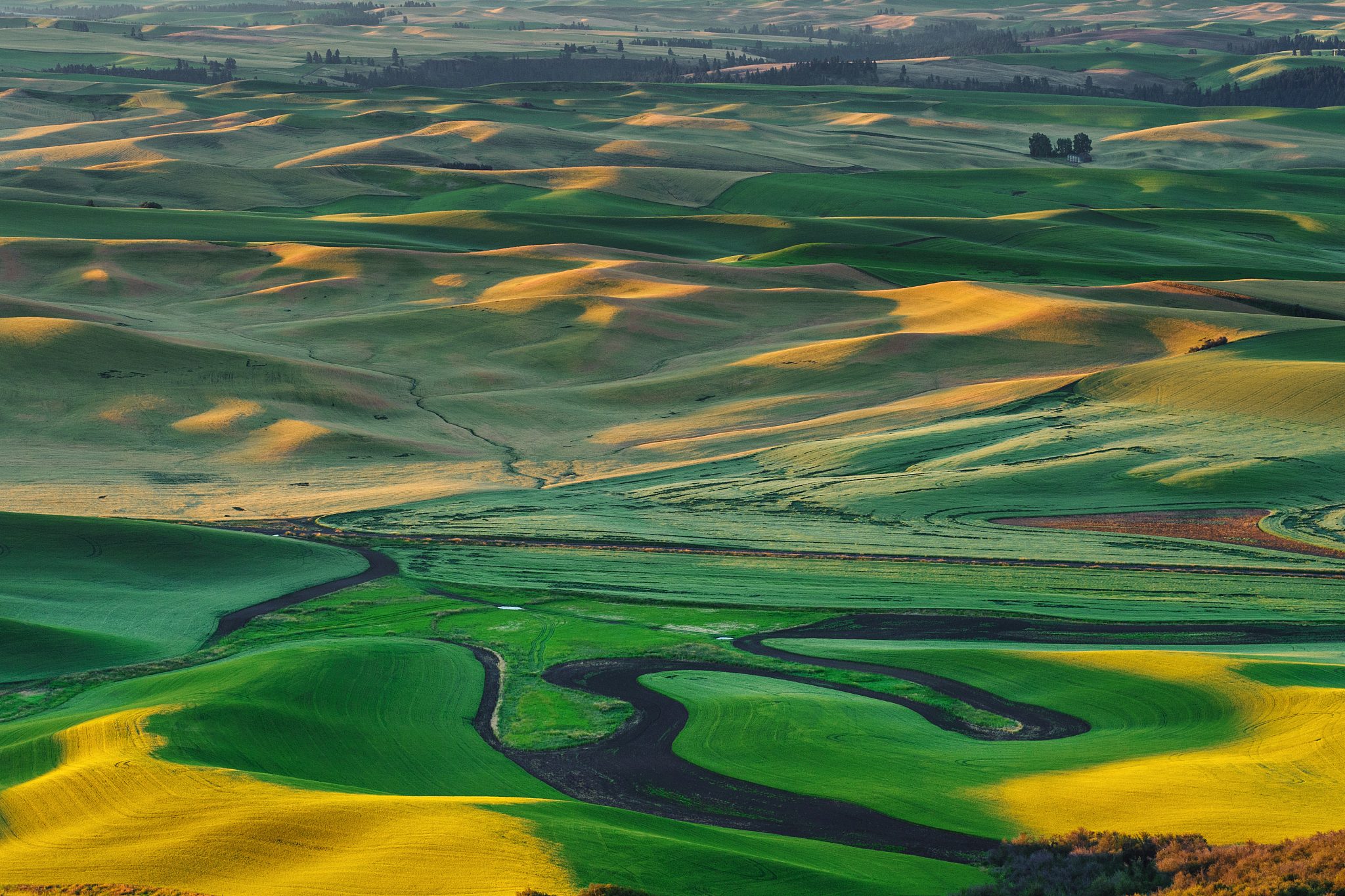 palouse hills