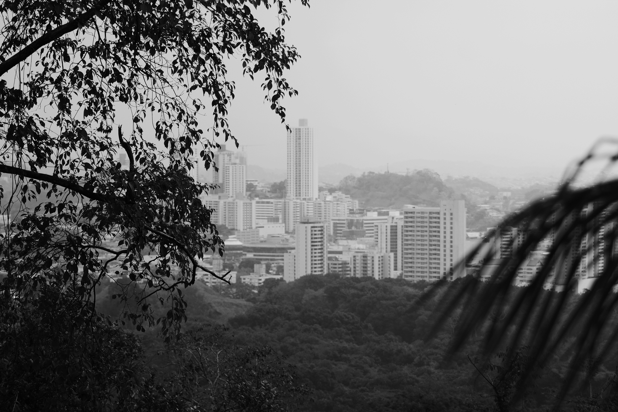 宁夏旅游学校专业介绍：旅游管理、规划、酒店管理、导游等