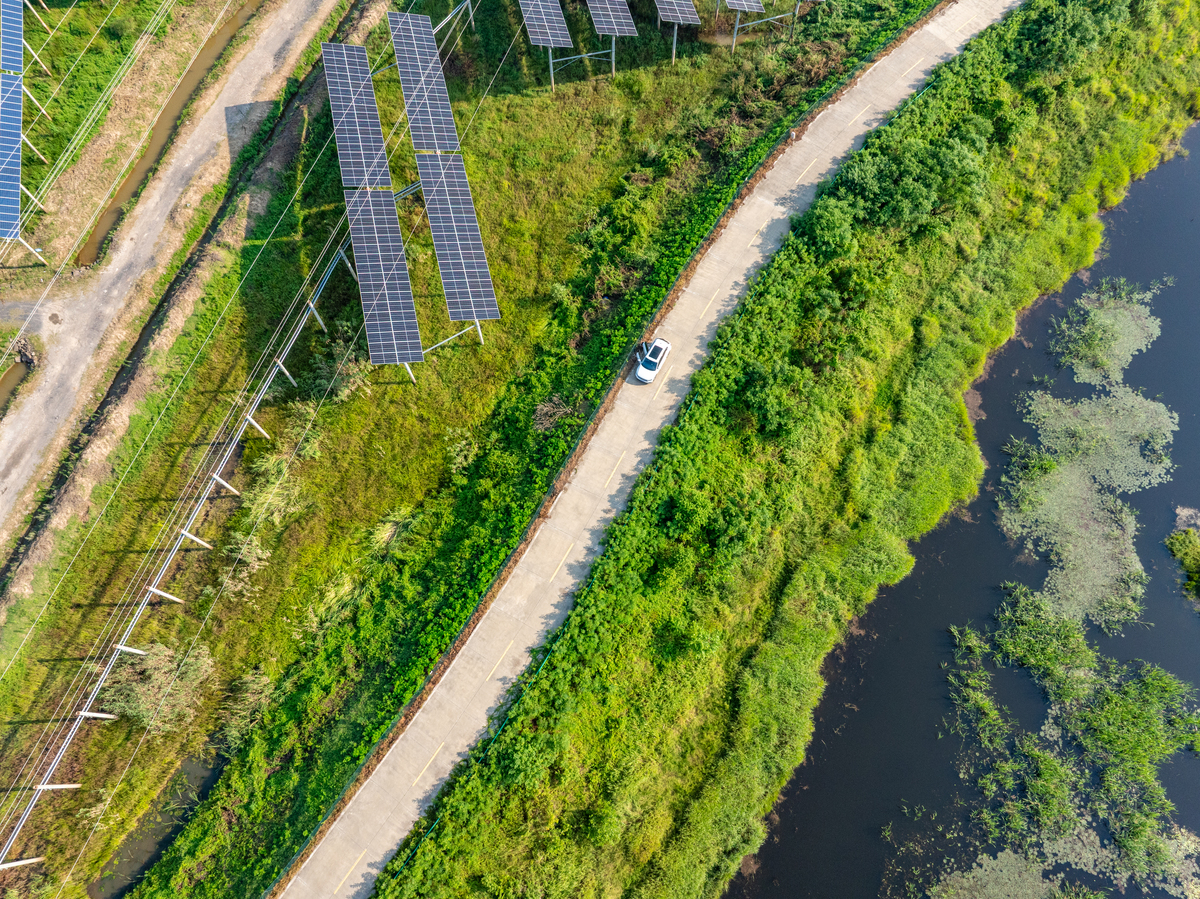城市森林：城市与郊区的环境改善绿洲
