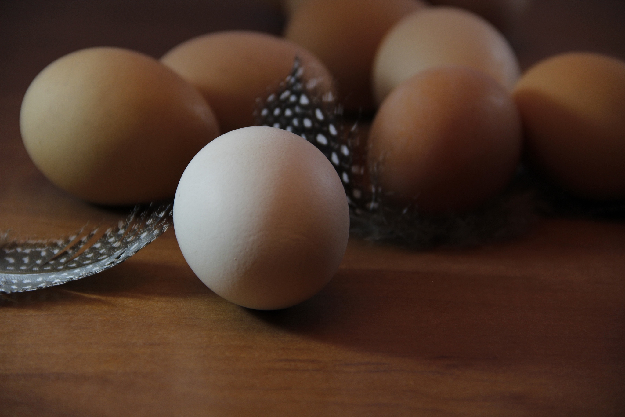 chicken eggs