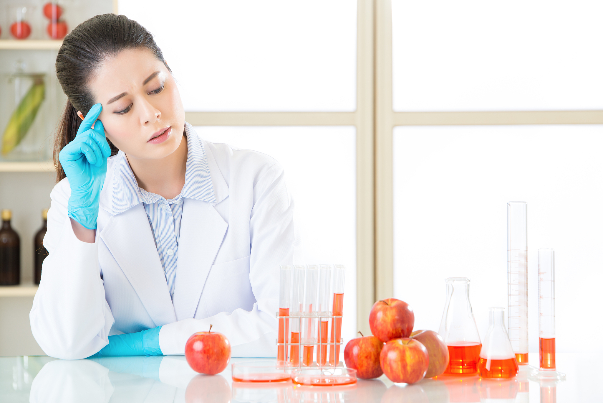 河南轻工业学校2021年招生专业-食品科学与工程、包装工程等