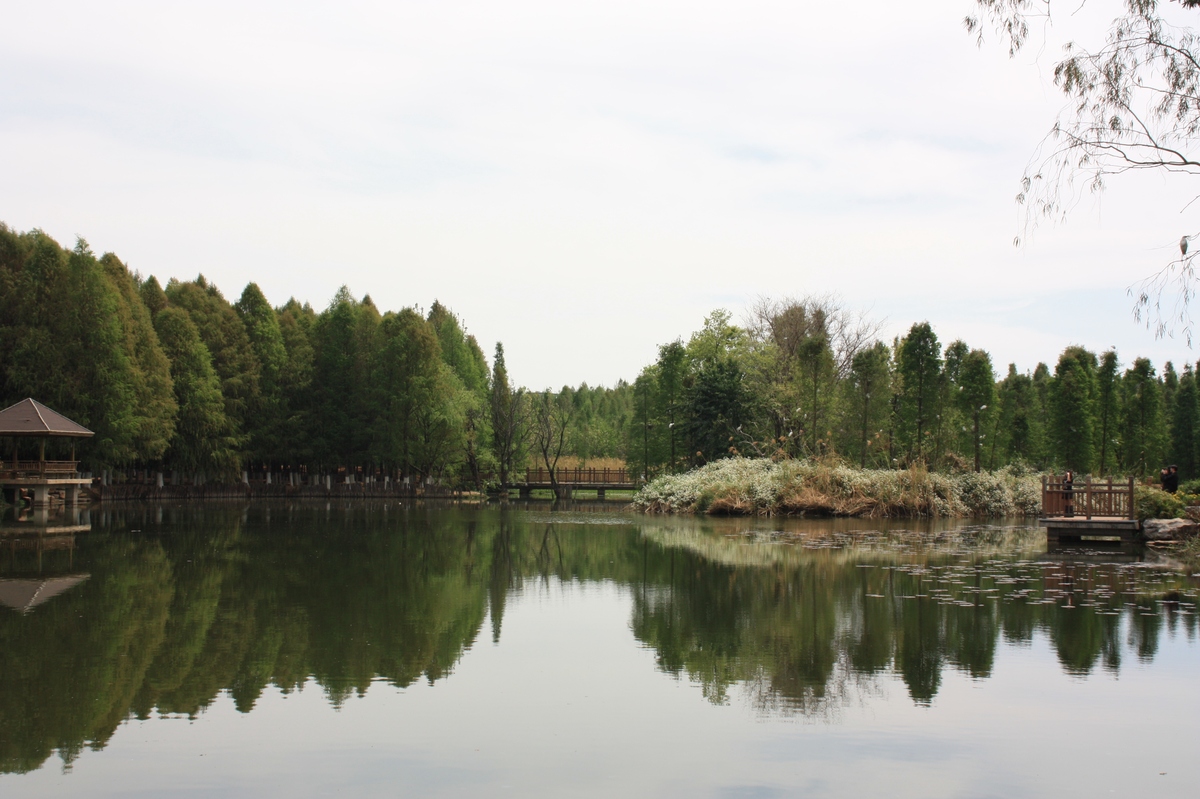 荆门沙洋有什么好玩的地方