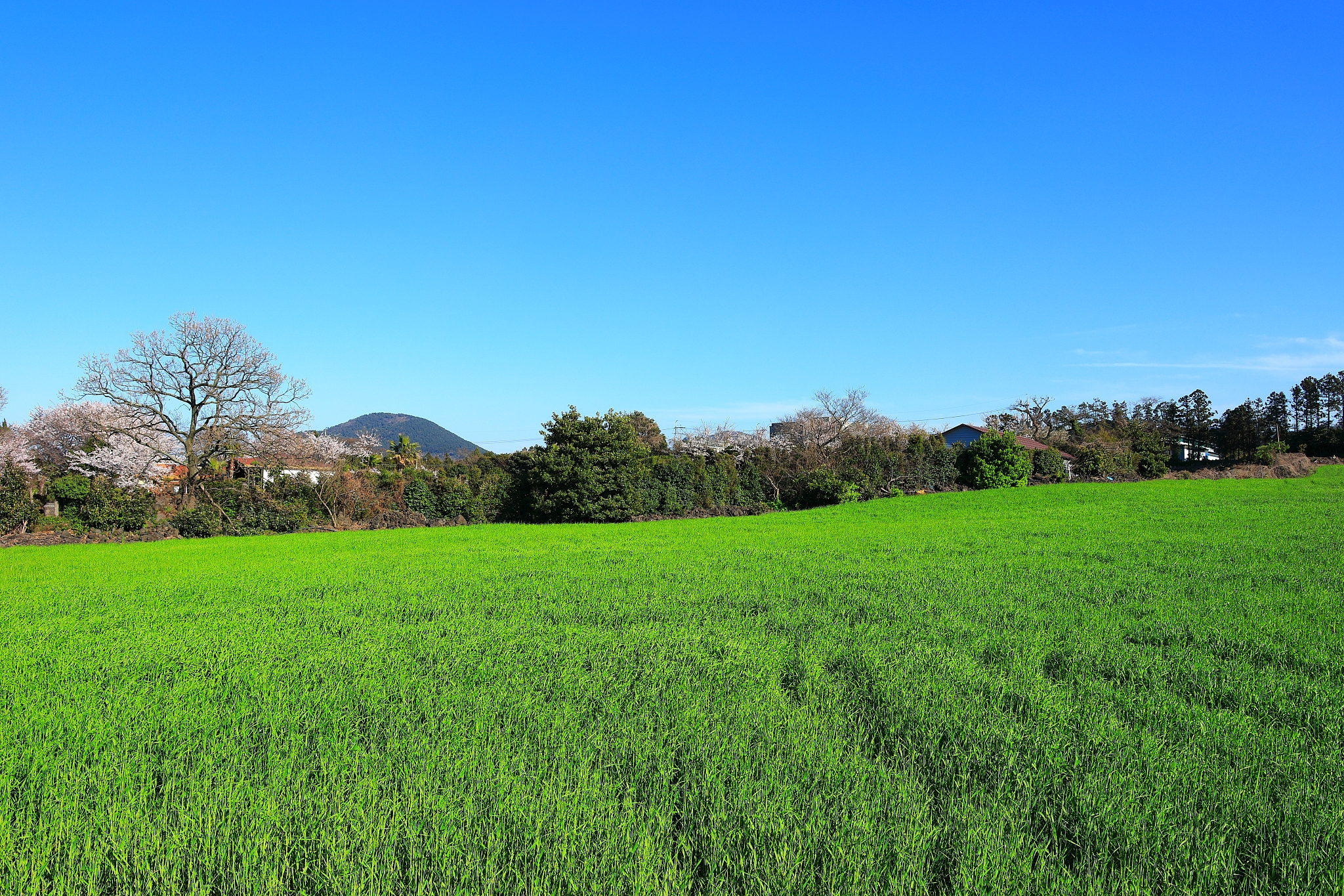 泸州市树风职业高级中学2022年招生条件及报名指南