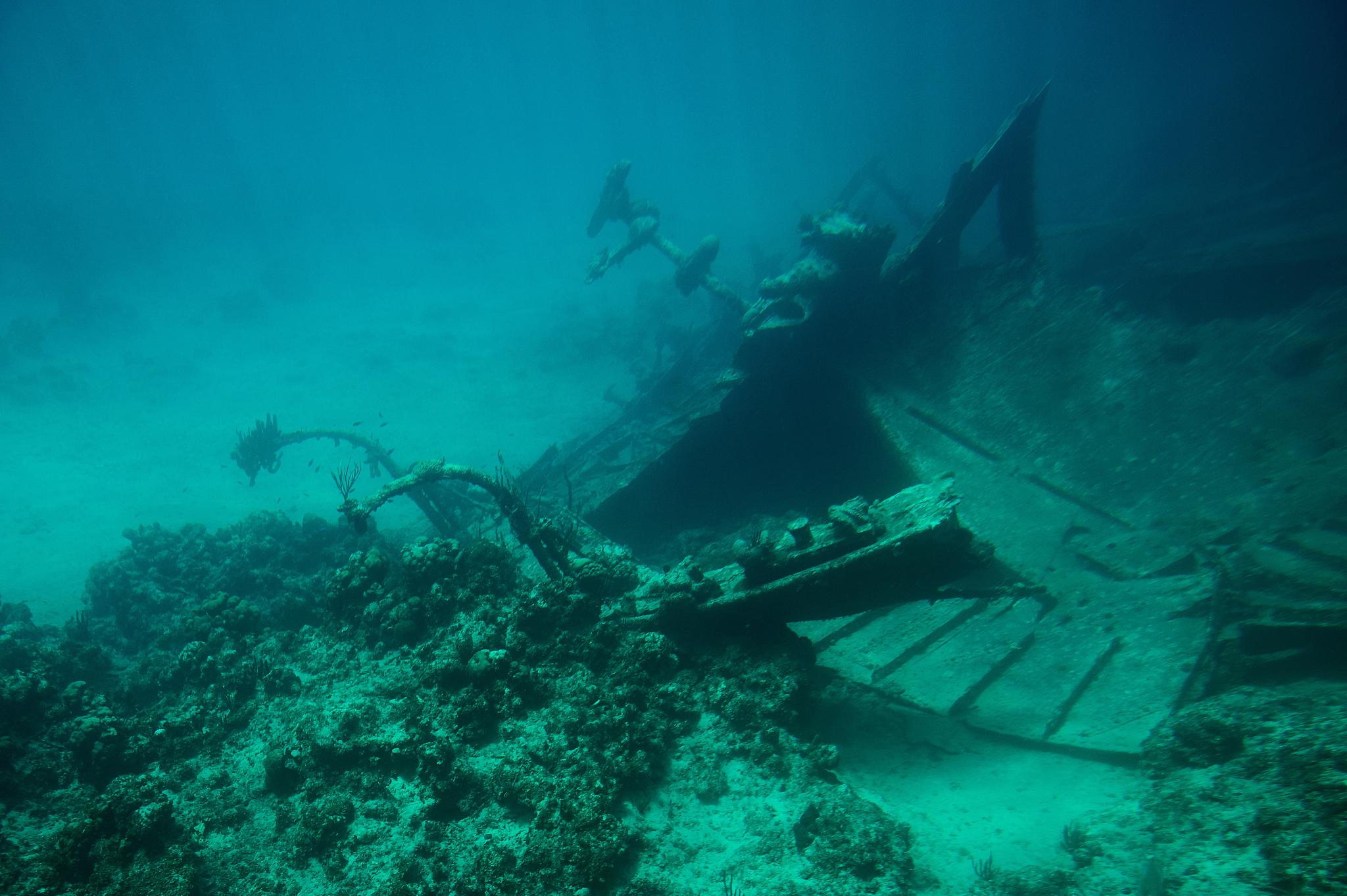 bow of shipwreck on bottom of sea