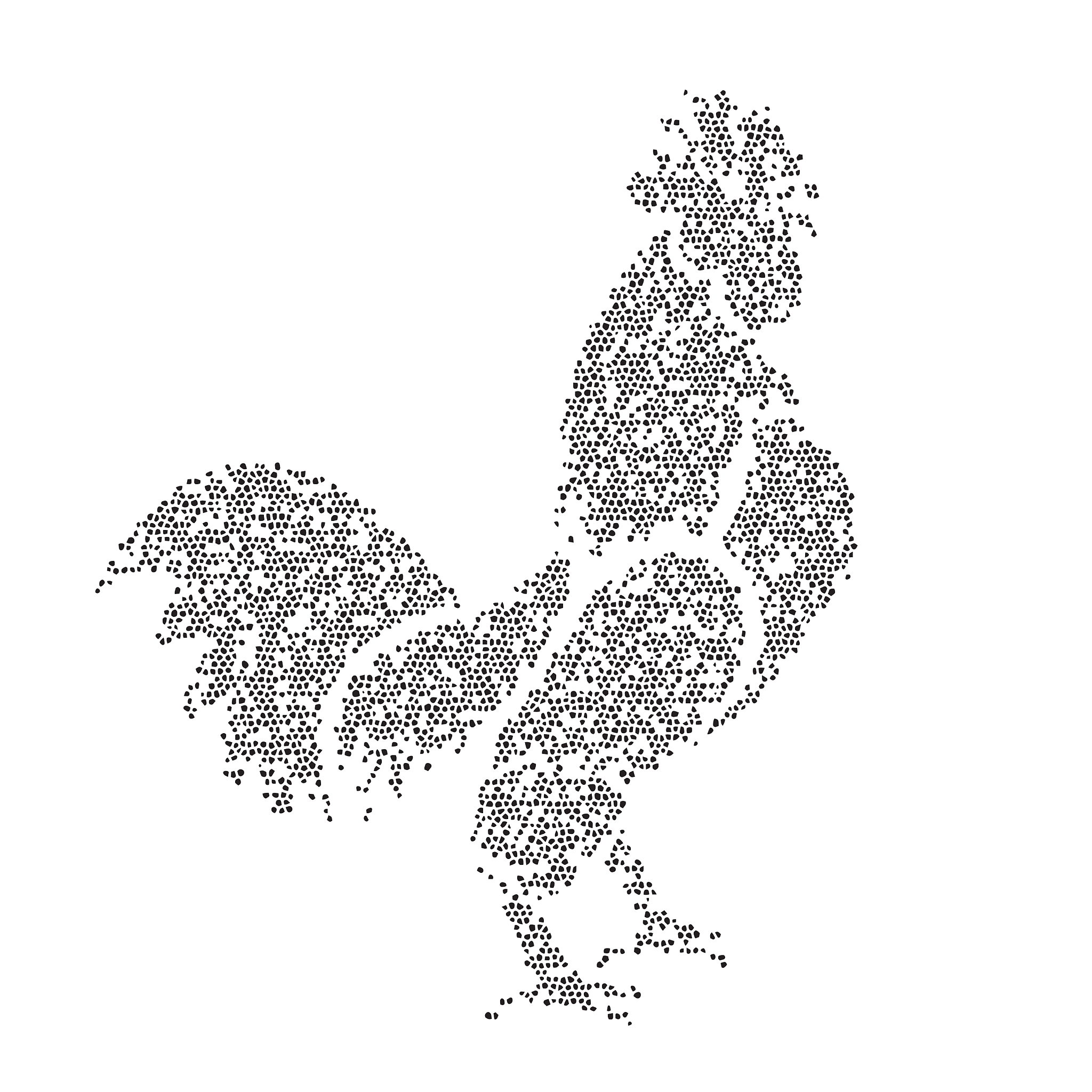 图的同构: 详解及判断方法