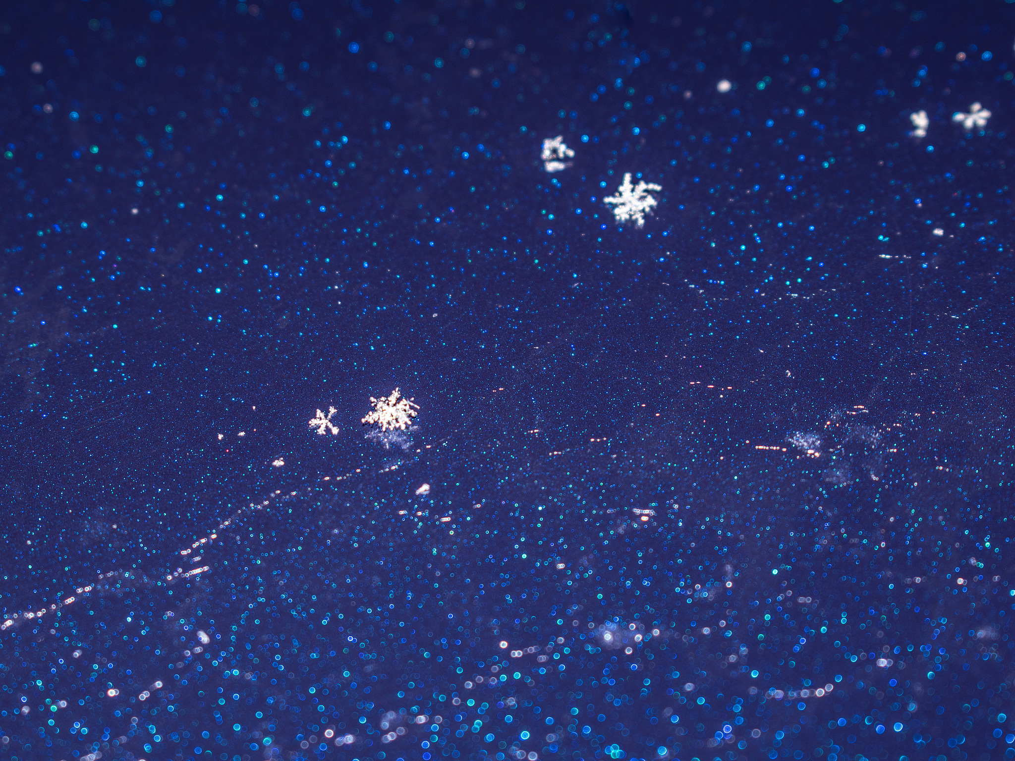 snowflakes on a blue surface