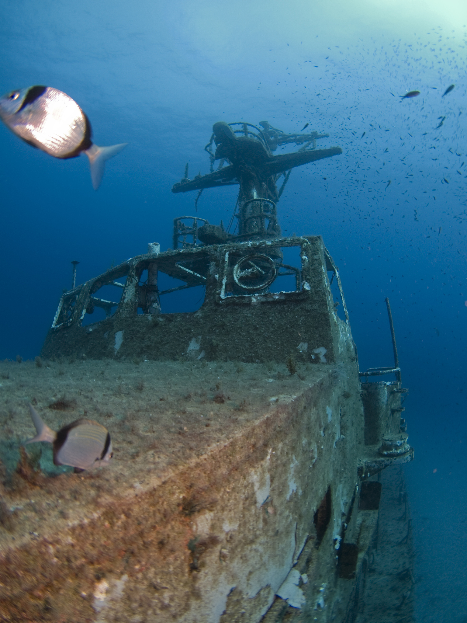 shipwreck in malta