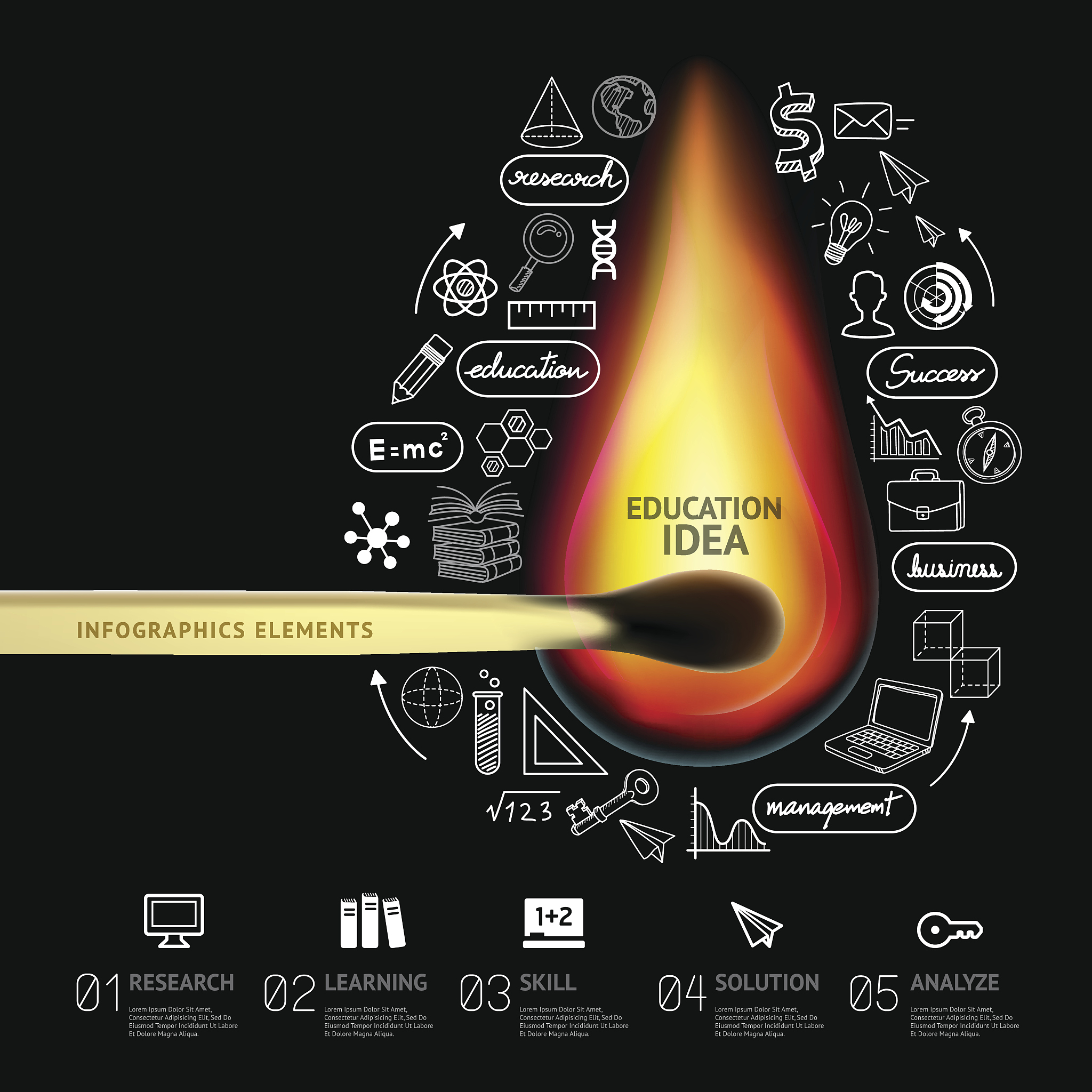 核心启动子长度