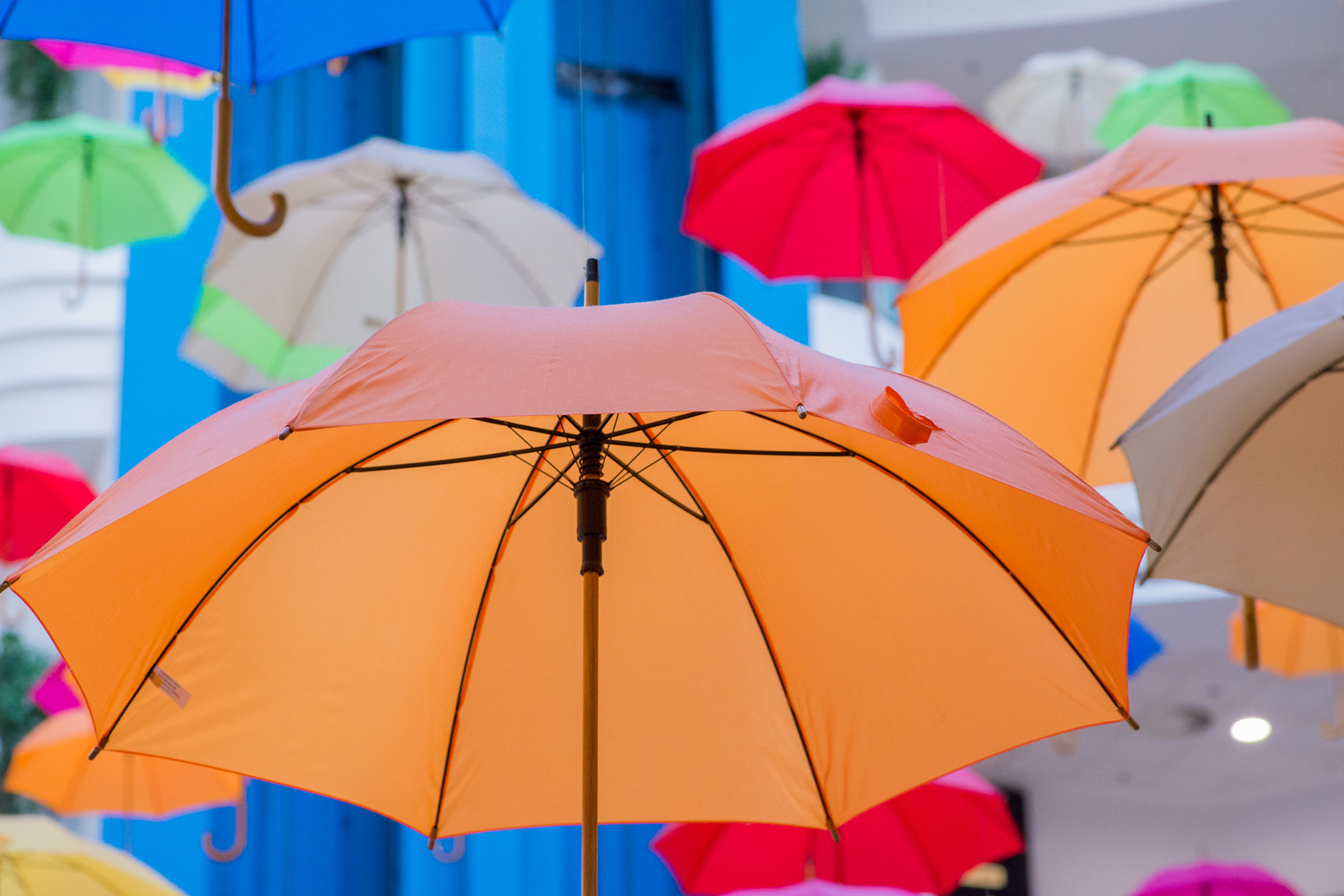 used multi-colored open umbrellas for decoration