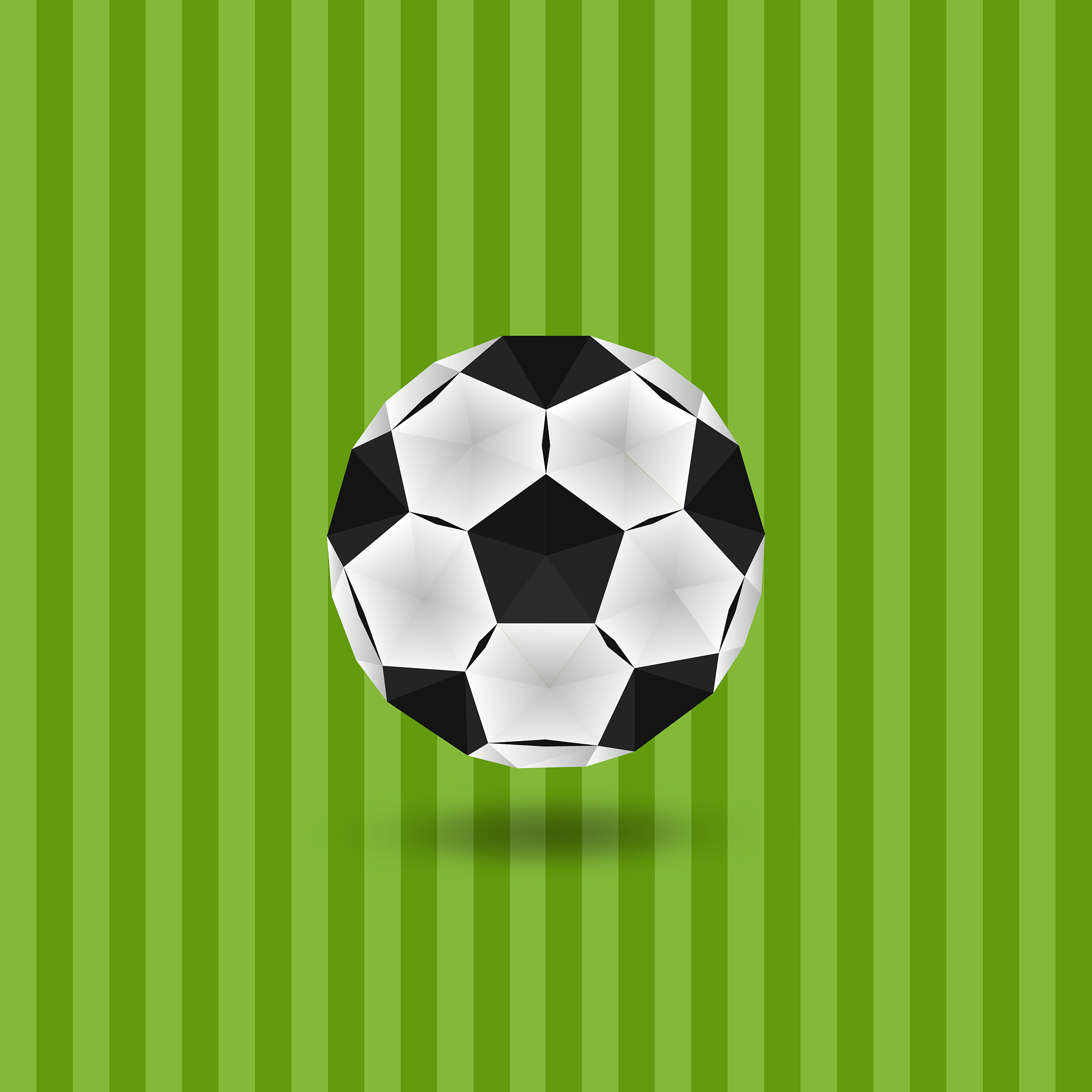 a soccer ball