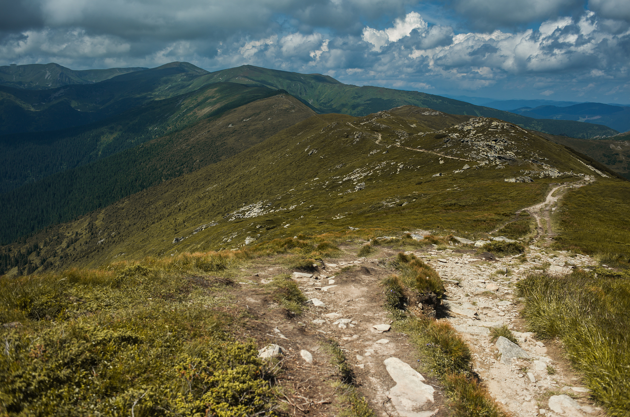 福建景观设计师工资待遇：薪资水平如何？