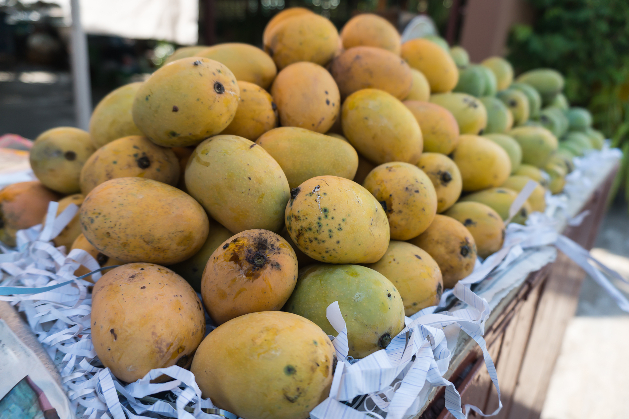 H公司芒果产品市场营销策略研究：4P问题分析与解决方案