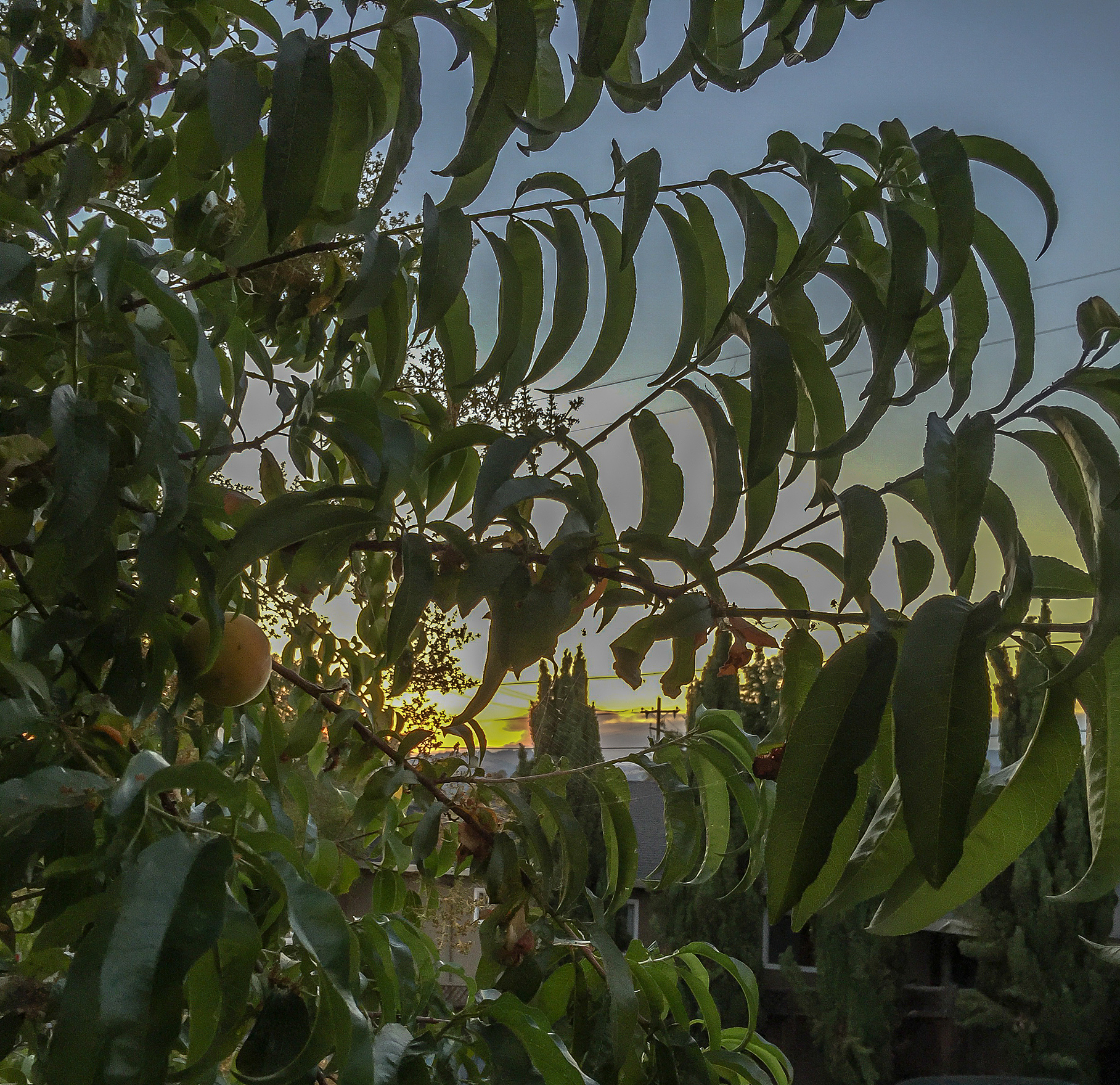 湖南大众传媒职业技术学院摄影摄像技术专业涉及哪些课程