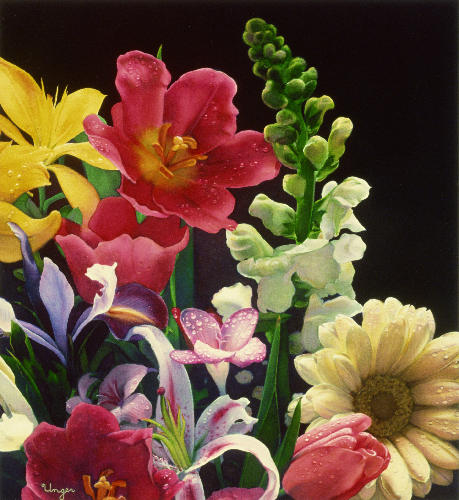 G-Poem: A Flower's Grace and Glory