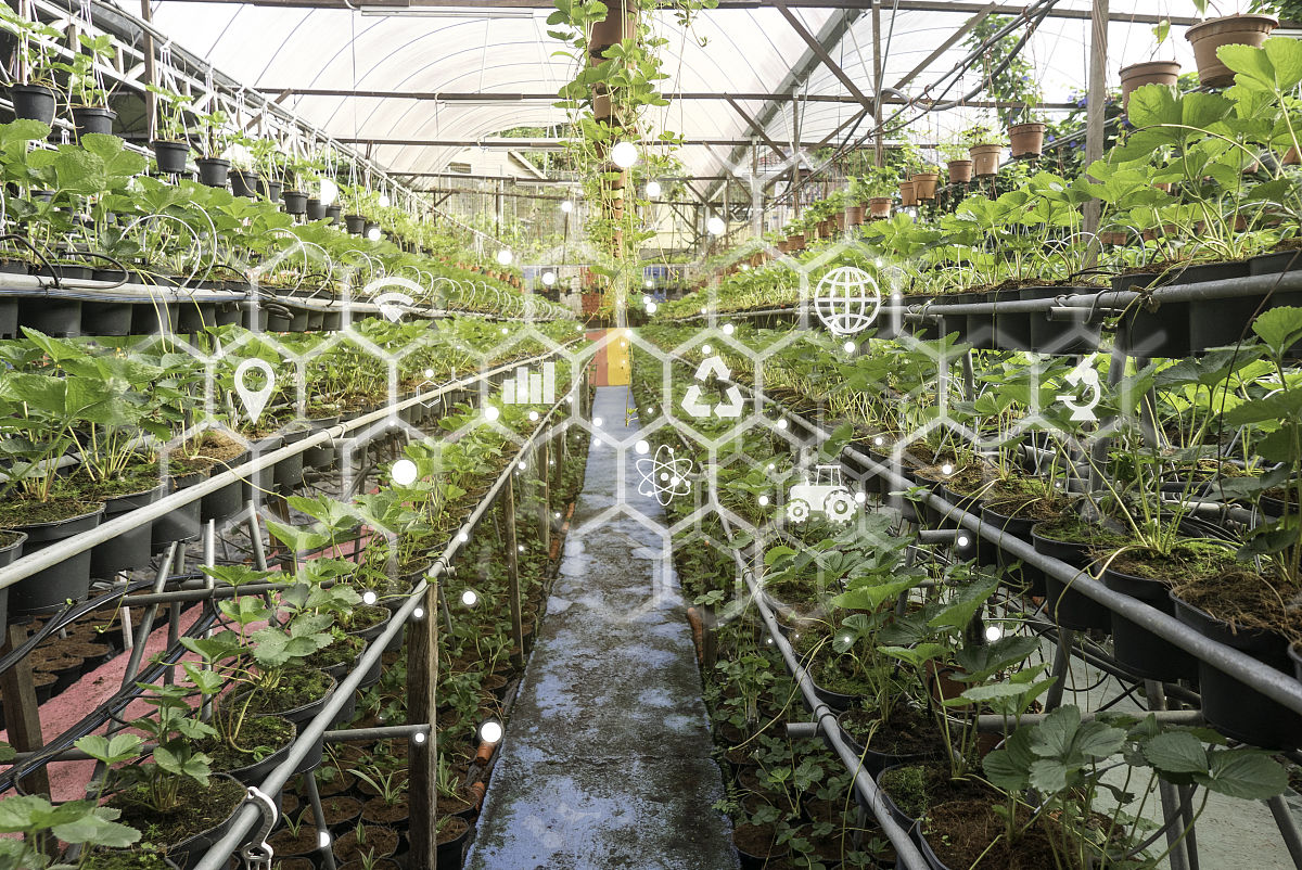 智能农场管理系统目标市场分析与未来趋势预测