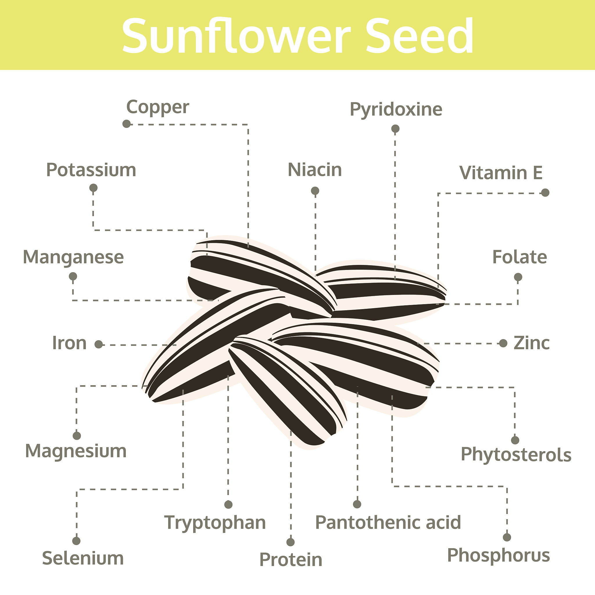 Leaf Area Index (LAI) Increases with Density Until Reaching a Plateau