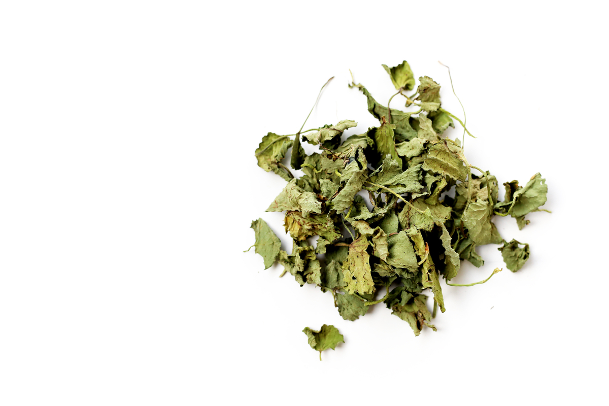白刺叶适合做茶么