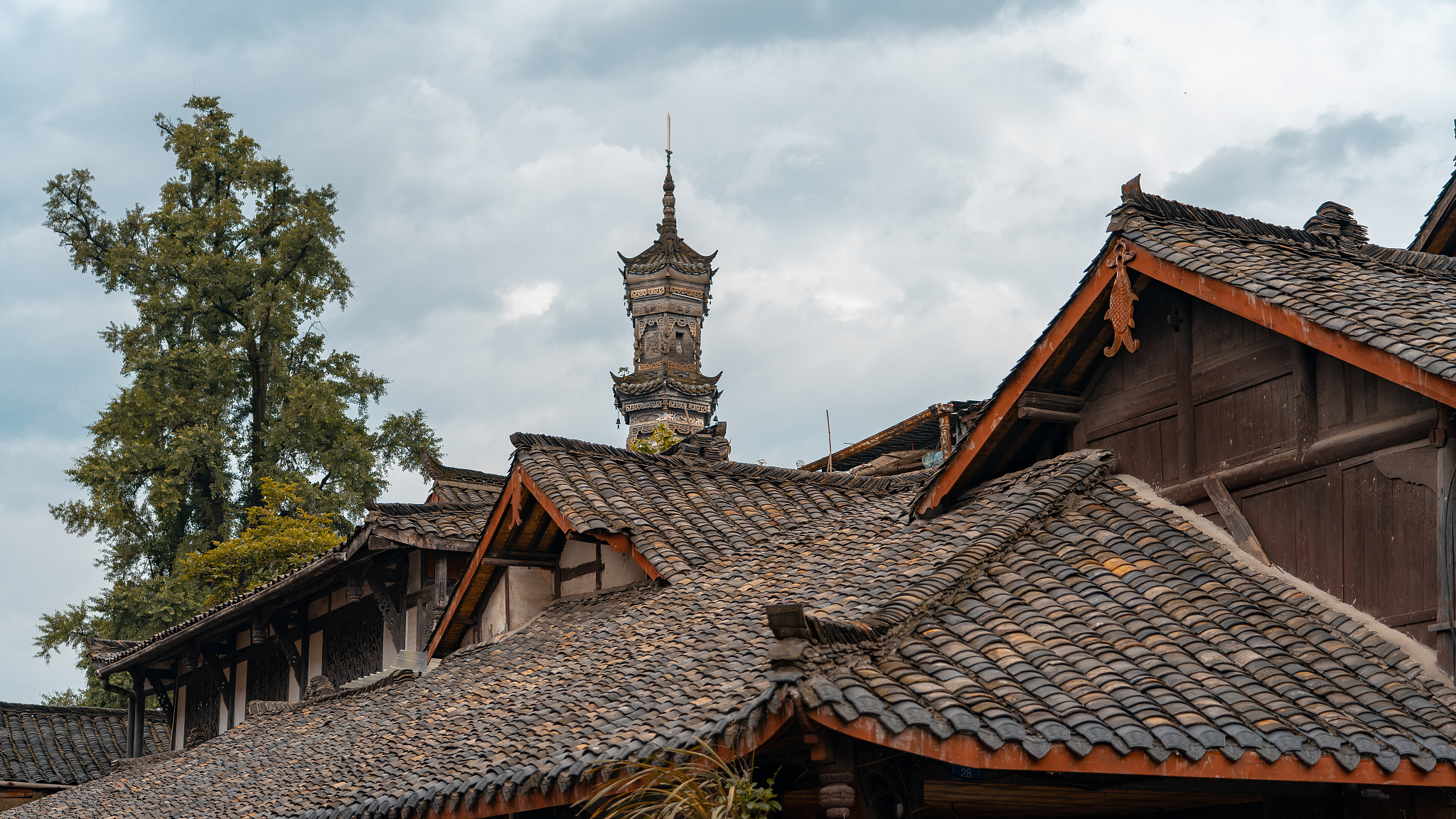 中专学旅游好就业吗用发散性思