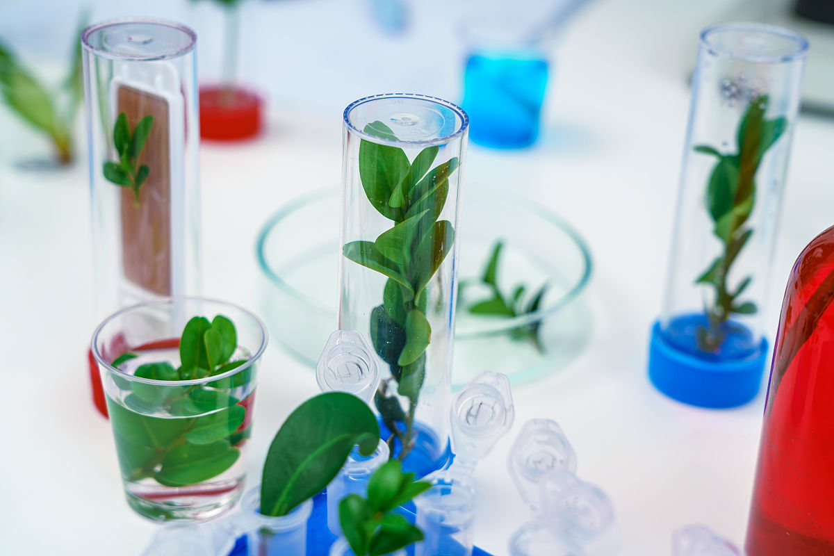 镇江技师学院好不好？招生专业有哪些