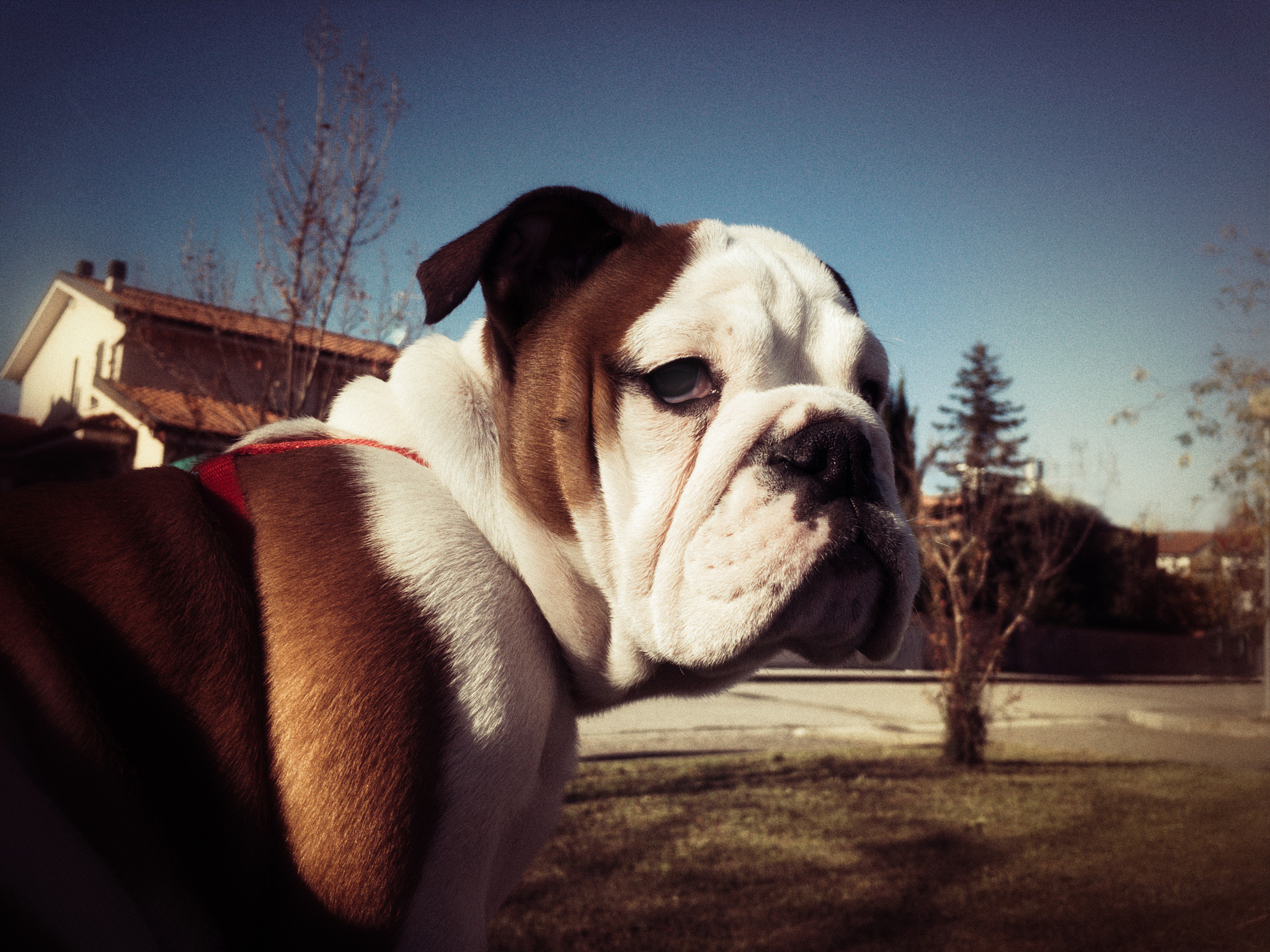 10个摄影必备关键词，助你拍出好照片