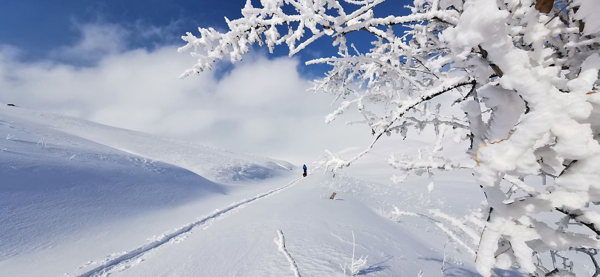 赞美冬天 写一篇300字小学作文