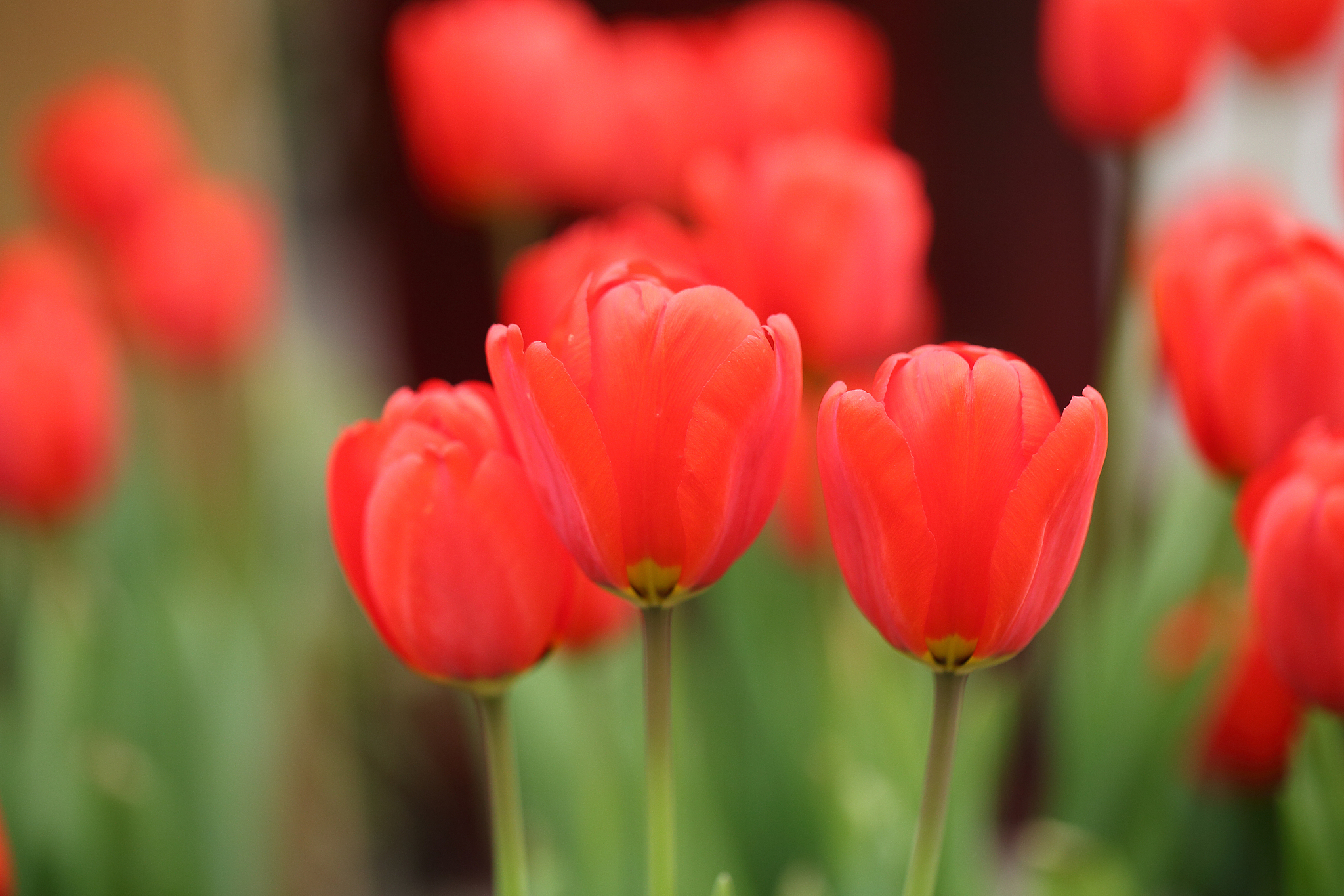 独特个人IP名称大全：打造你的专属品牌