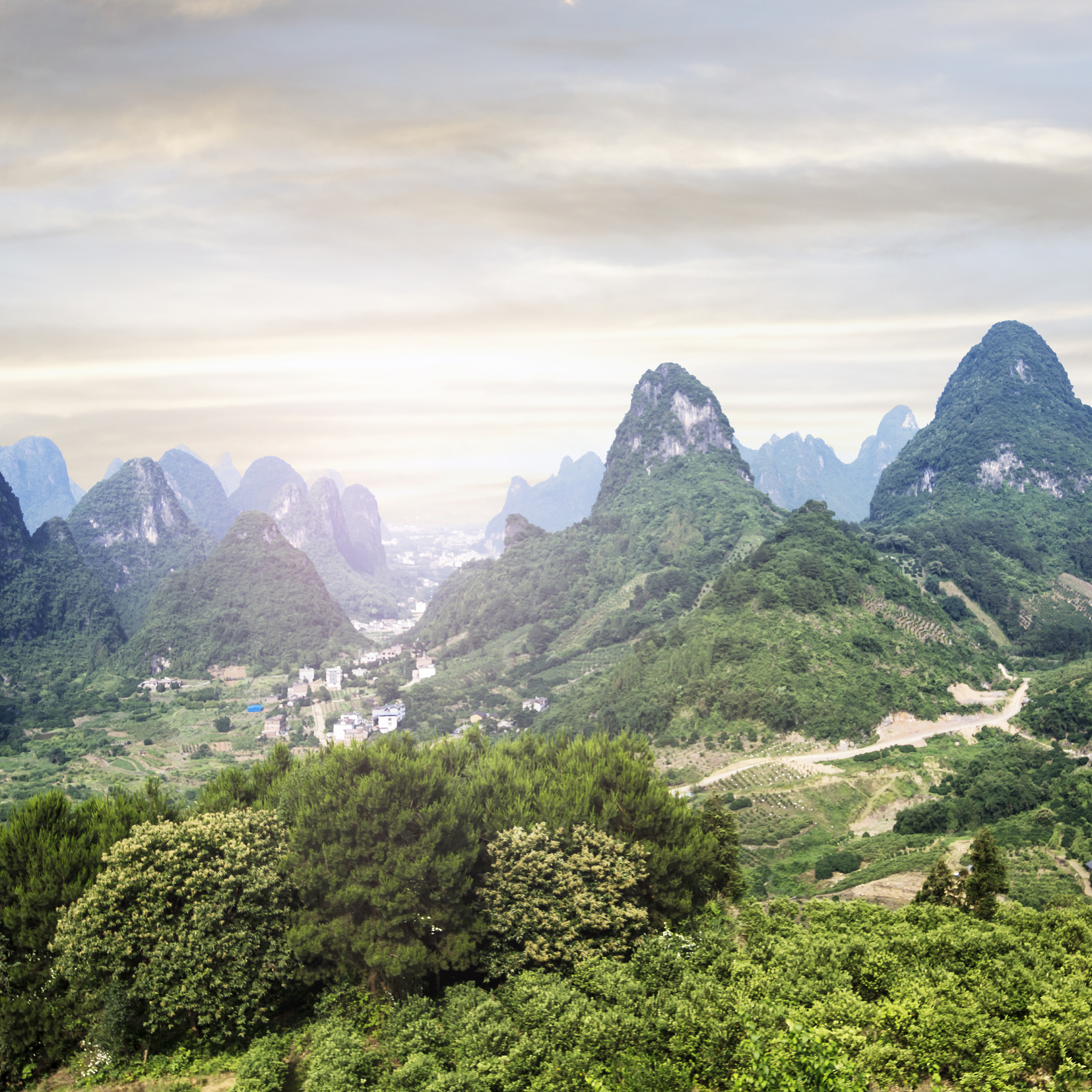 桂林林业学校2023年招生：对象、条件及要求