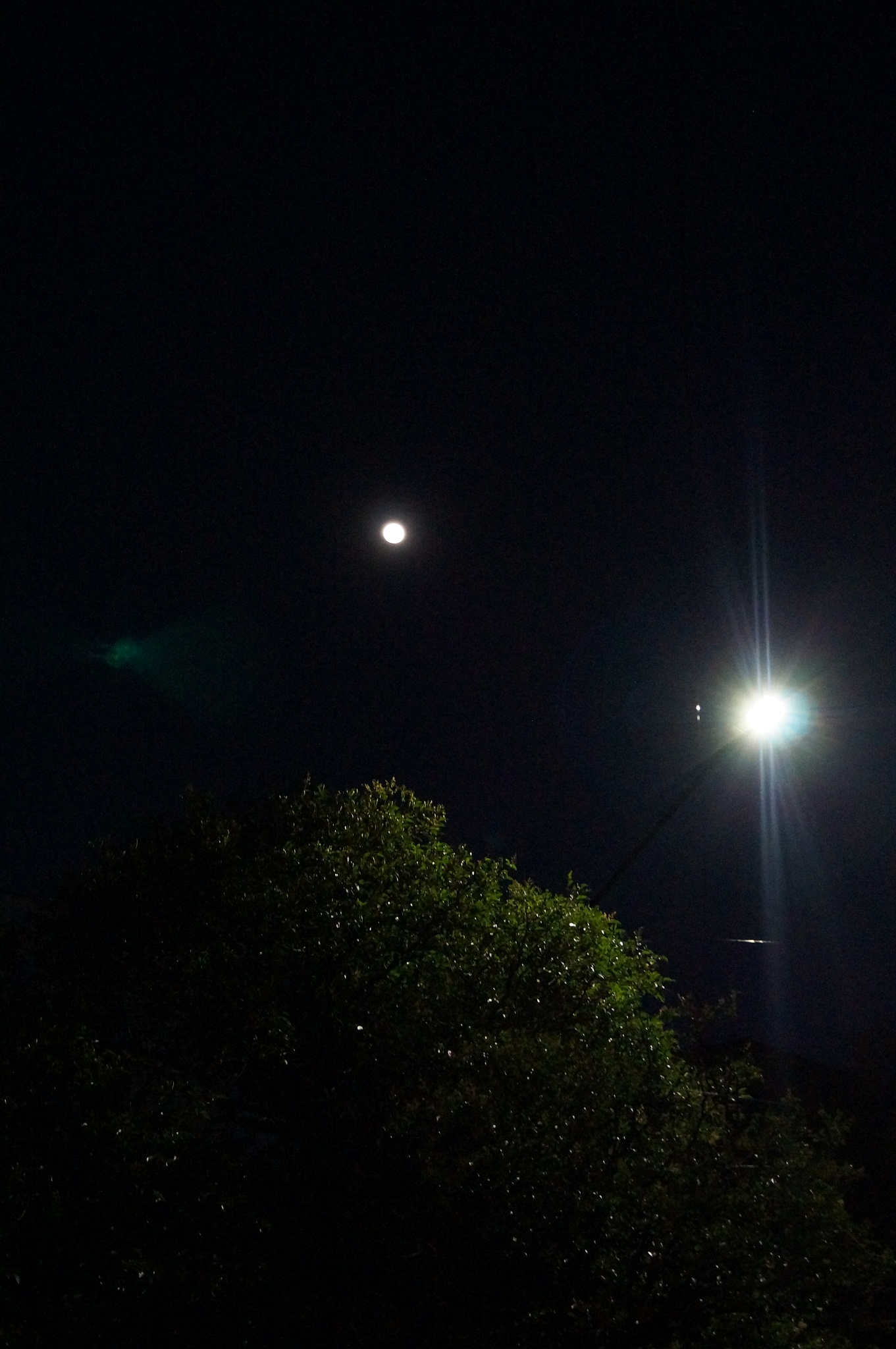 night view