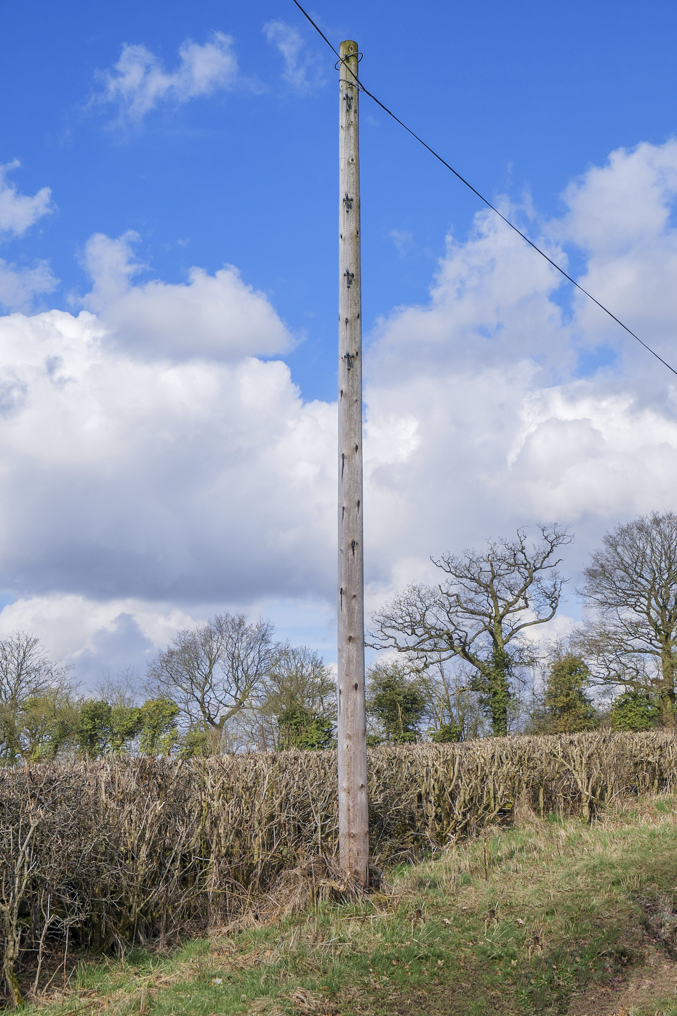 电杆P350一15米4基是什么意思帮我用200字详细描述