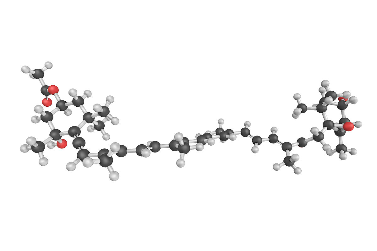 化学范围思想：研究物质及其变化的科学