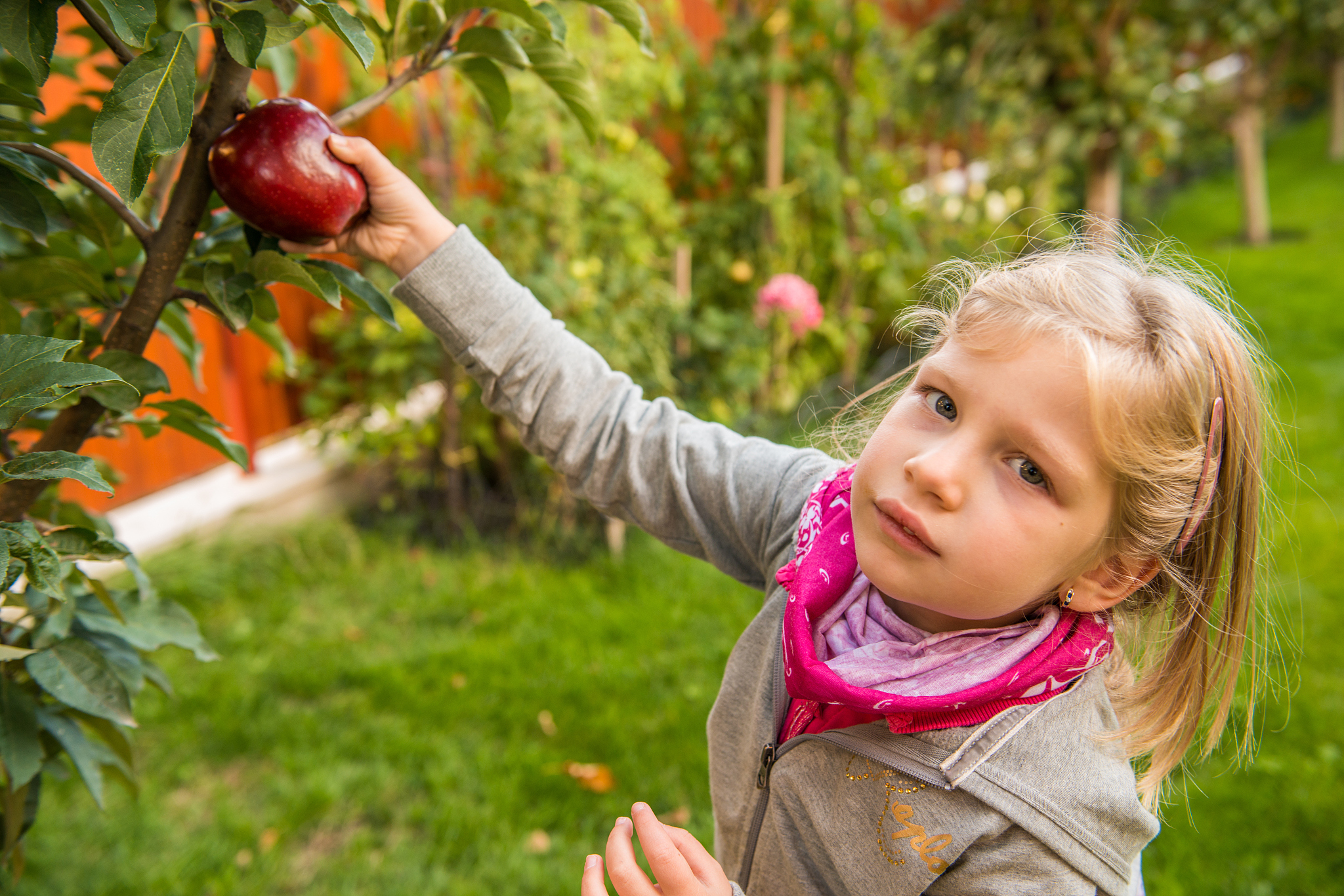 collecting autumn's gifts