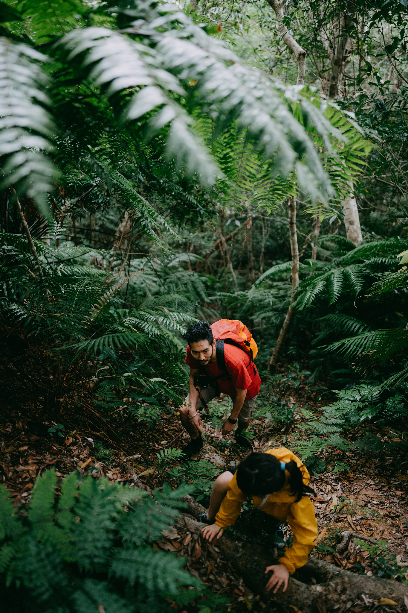 题目为 神奇的探险之旅的作文 人物有我和经验丰富的探险爱好者 场景在热带雨林 装备有指南针 地图 水 食物 帐篷 险情是暴雨来袭 内容写的详细一些