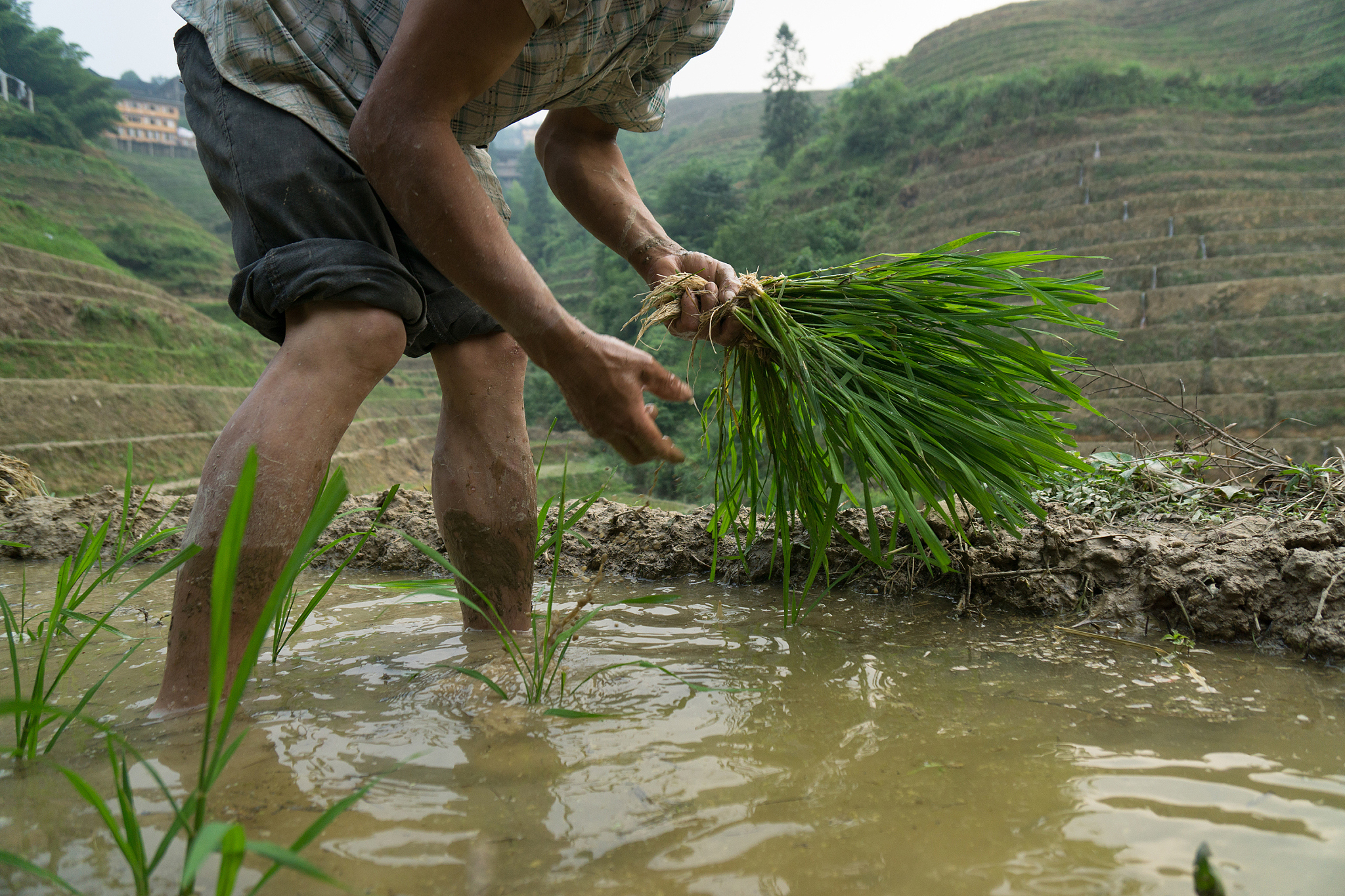 广西桂林农业学校值得选择吗
