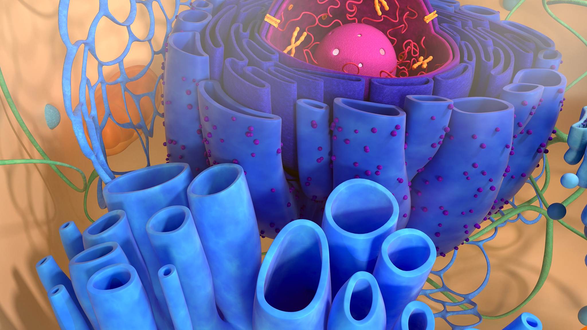 3D Bioprinting Collagen with Precise Control of Composition and Microstructure for Engineering Cardiac Tissues