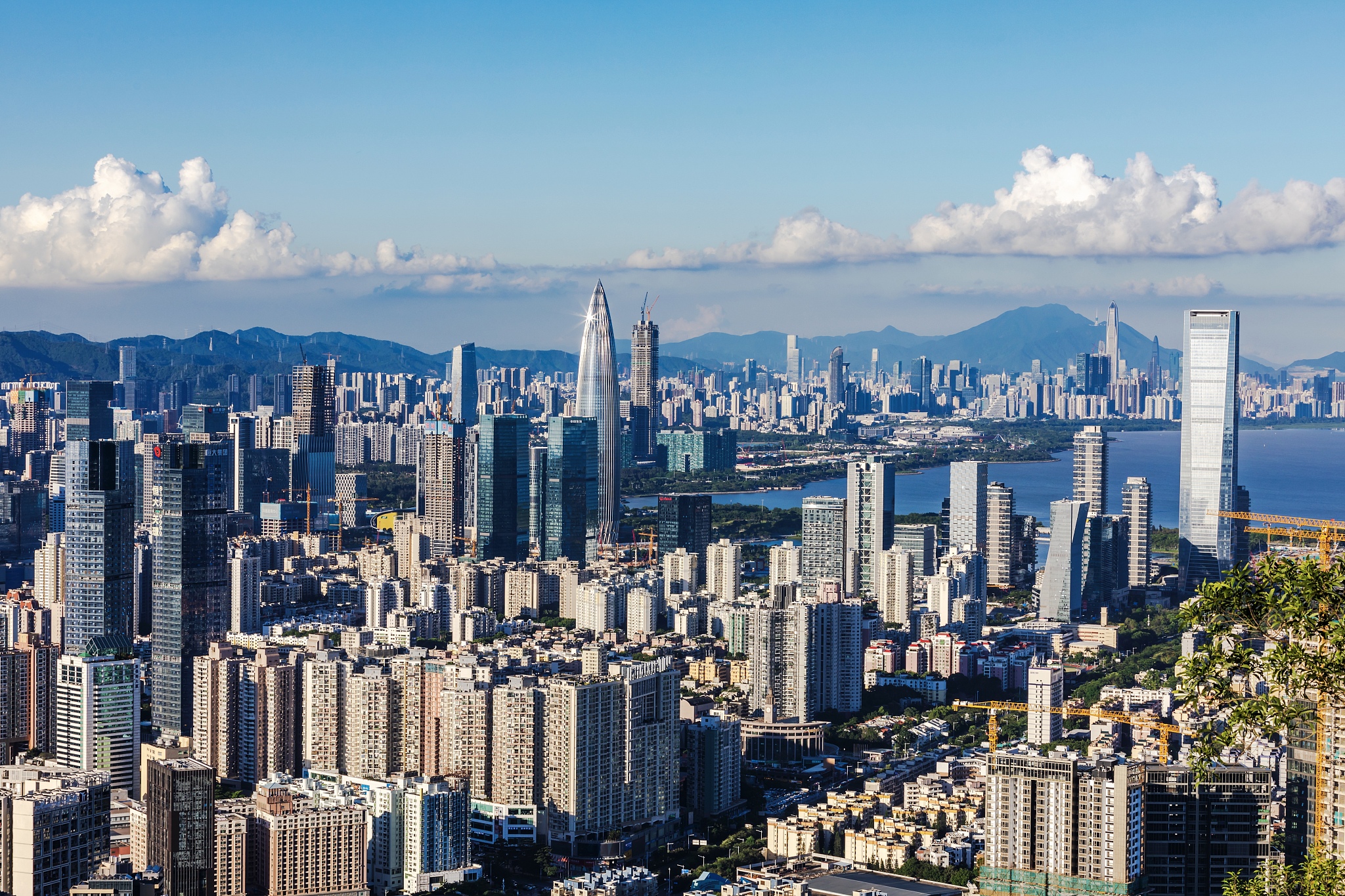 深圳 vs 香港：谁在大湾区发展中更胜一筹？