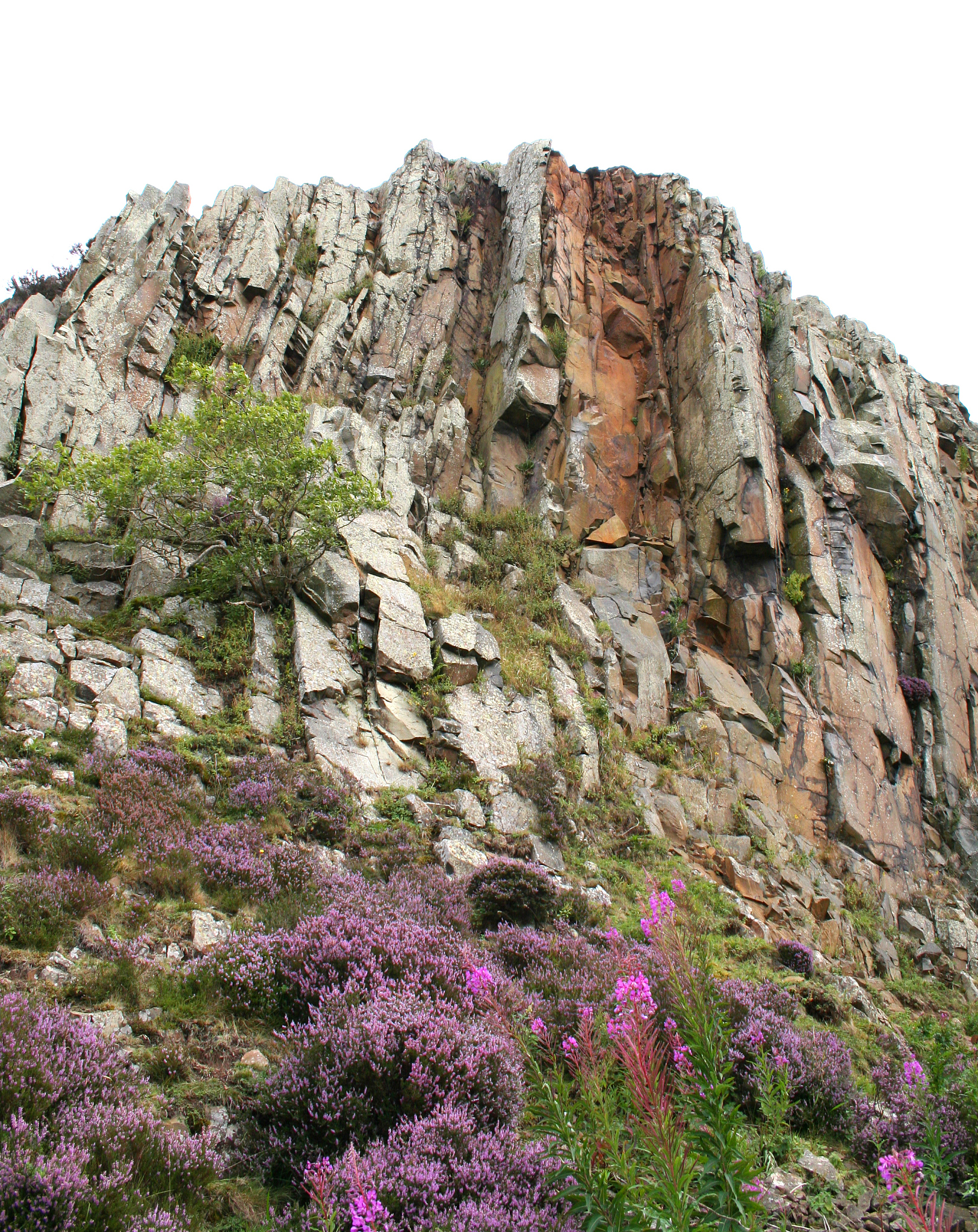 hadrians roman wall