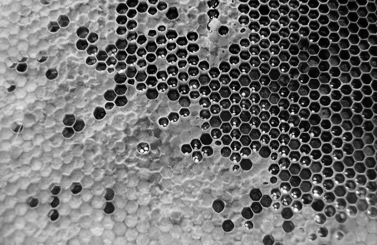 材料化学中氧势高的含义及影响