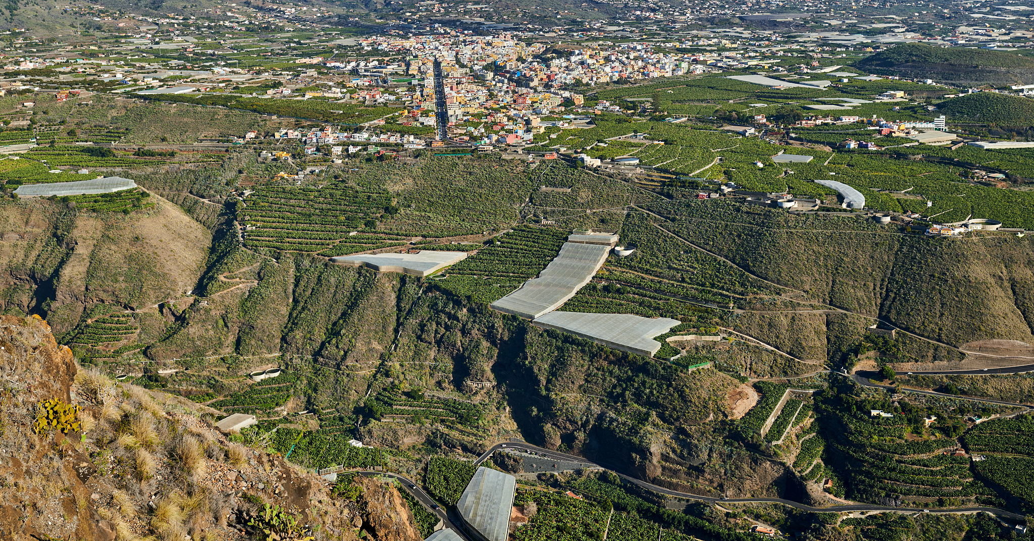 大学生乡村振兴社会实践报告：探寻乡村振兴之路