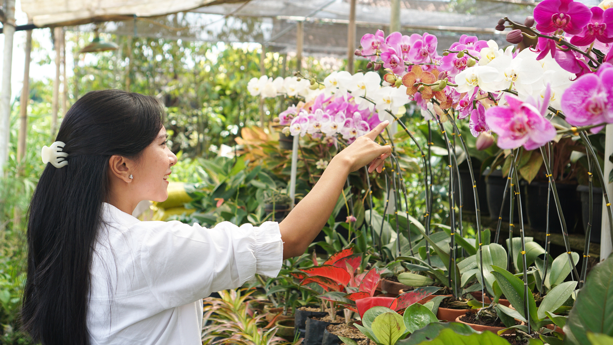 云南林业技工学校园艺花卉专业怎么样？教学质量、就业前景分析